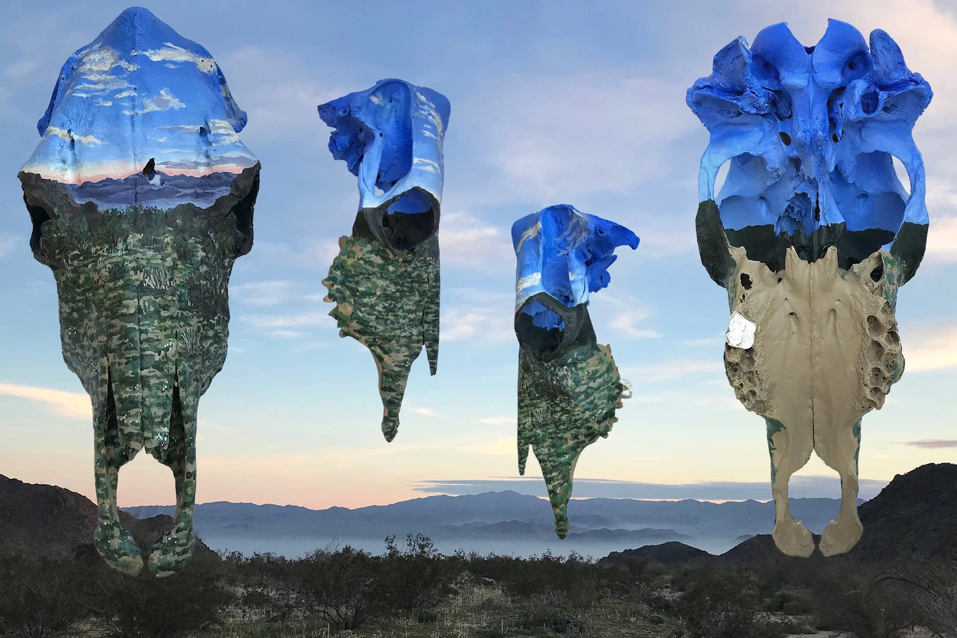07joshuatreeskull.jpg