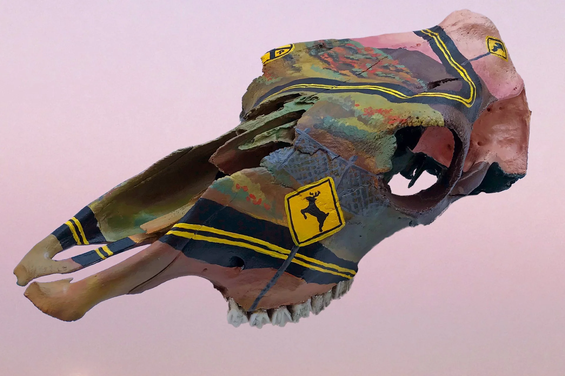 05freewayskull.jpg