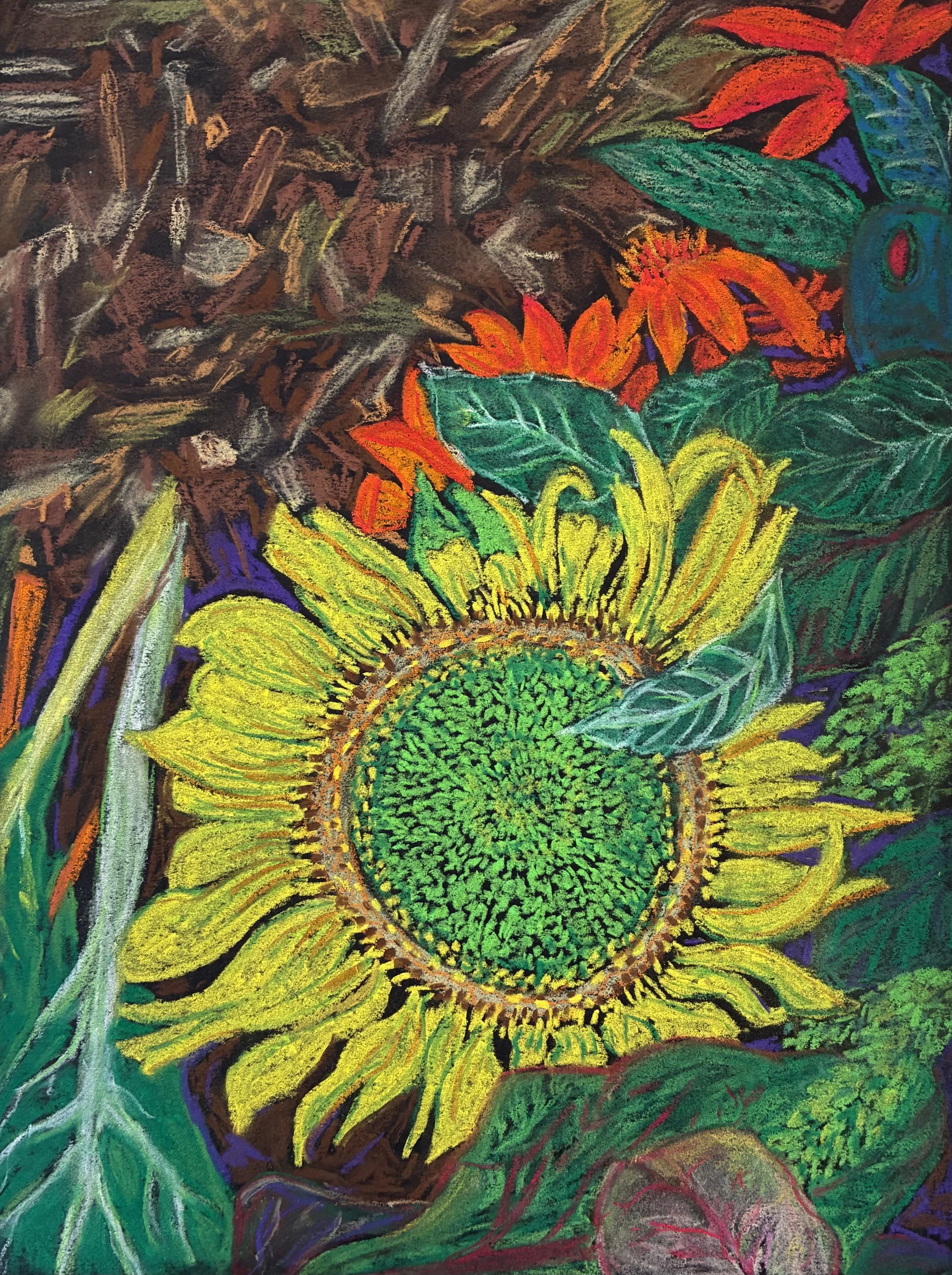 'from the garden' 2026, soft pastel on paper