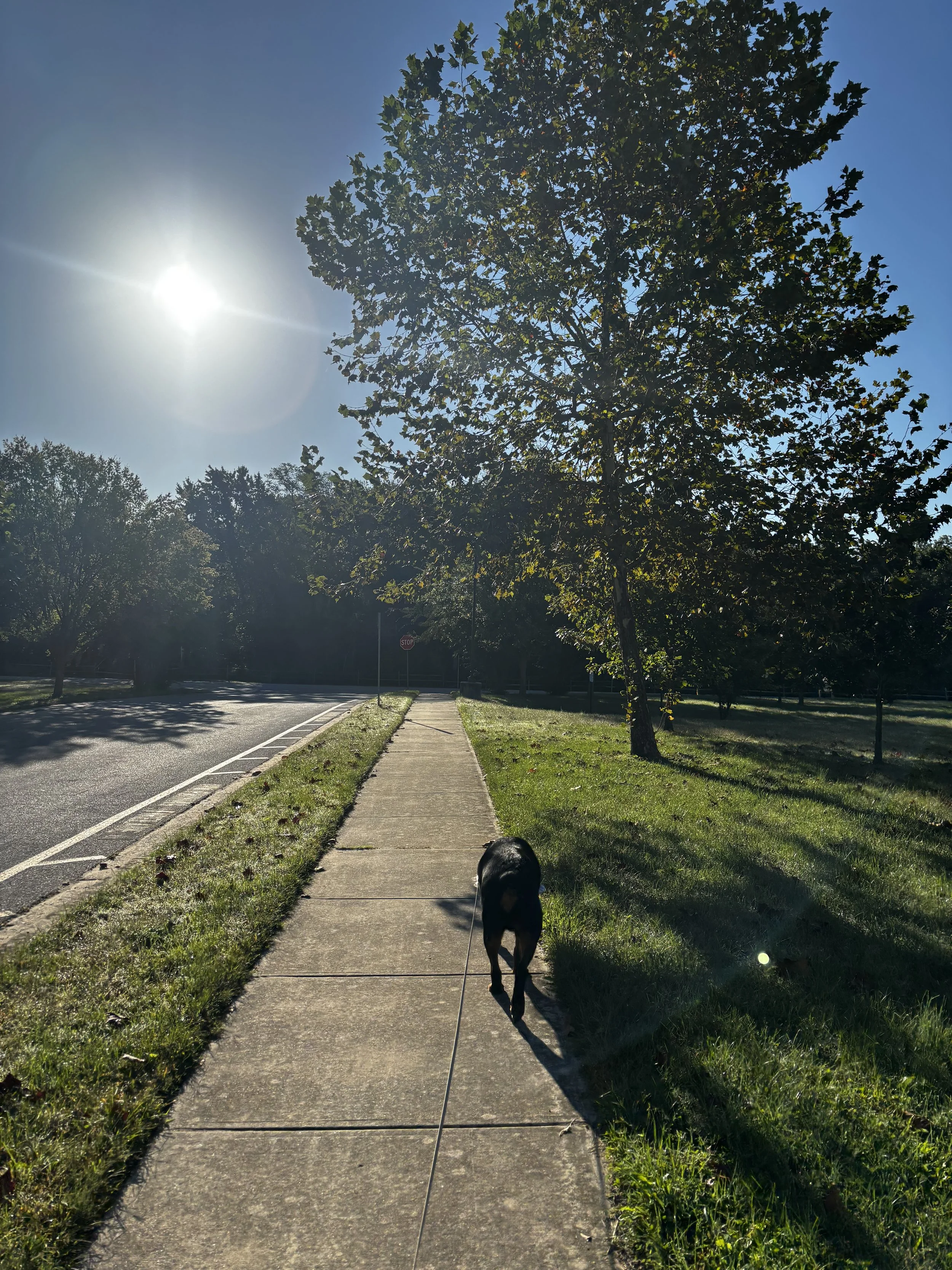 The Connection Between Lifestyle and Migraine: Taking Back Control Naturally