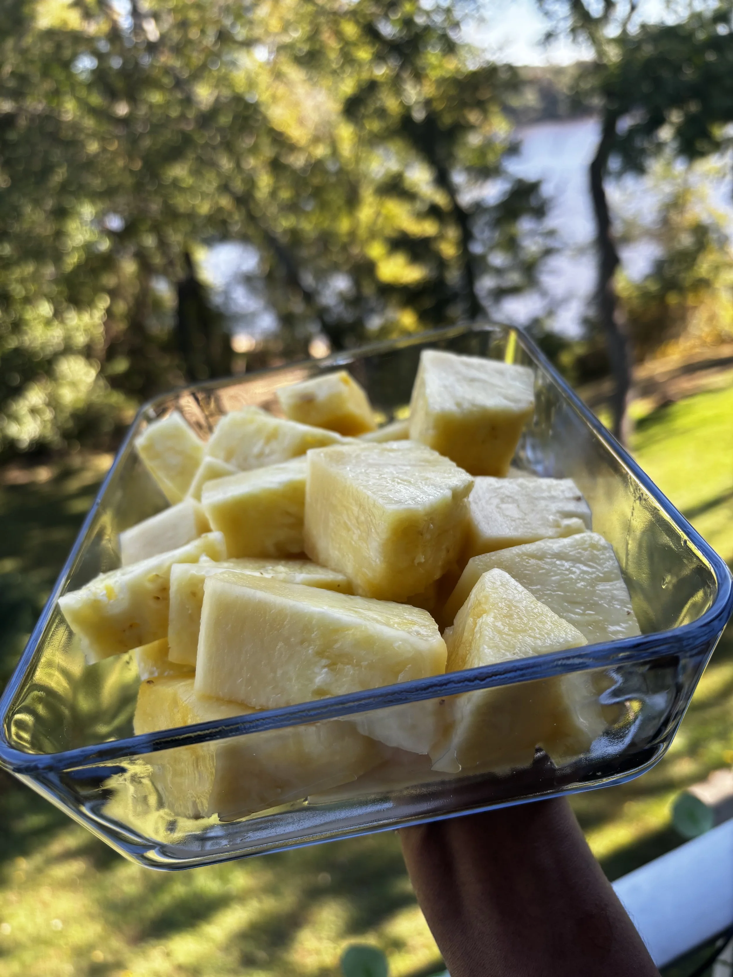 A hand holding a glass bowl filled with chopped pineapple pieces outdoors, with trees and a body of water in the background.