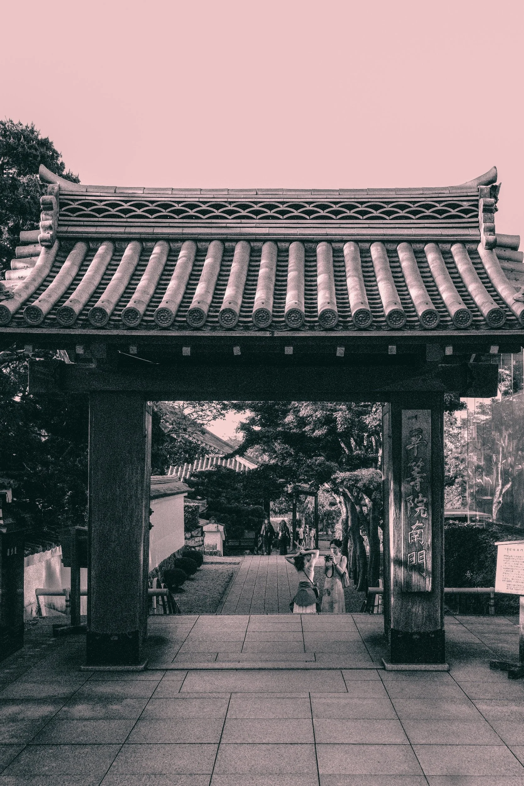 processed_DSCF9631 (1).jpg