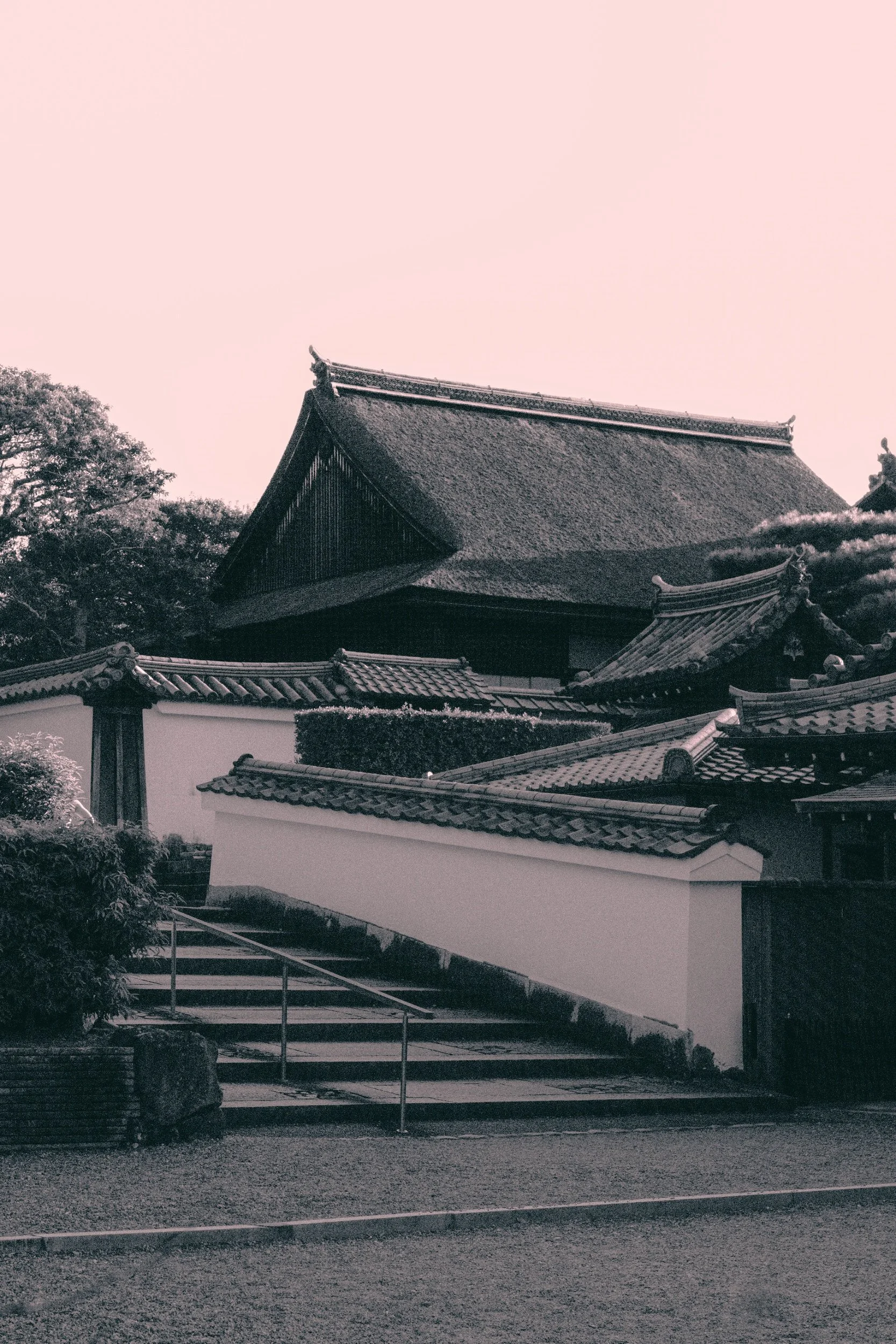 processed_DSCF9640 (1).jpg