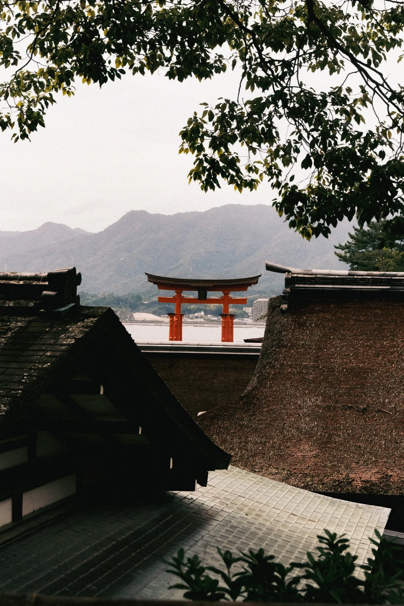 processed_DSCF9407 (1).jpg