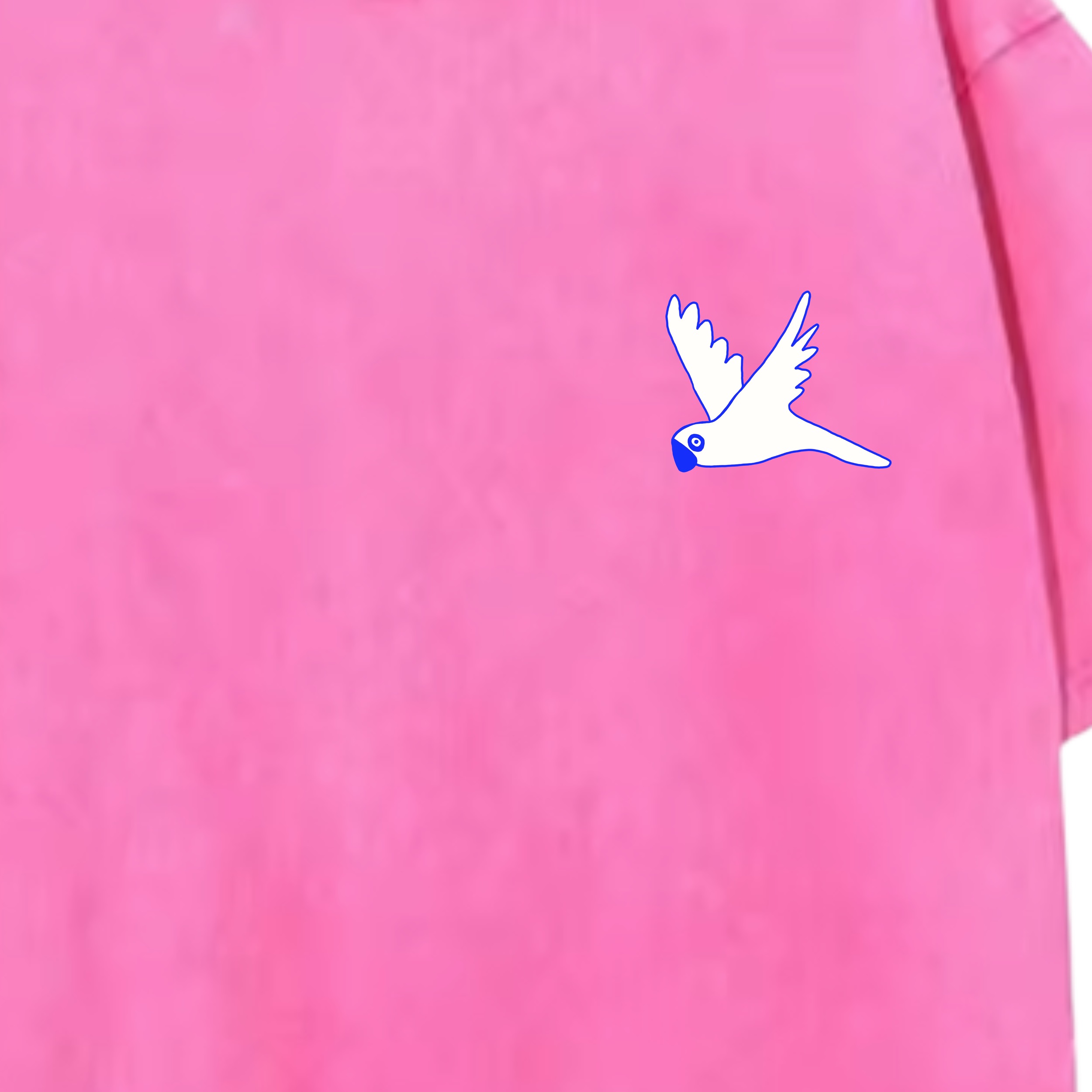 FLY+HIGH+PINK.png