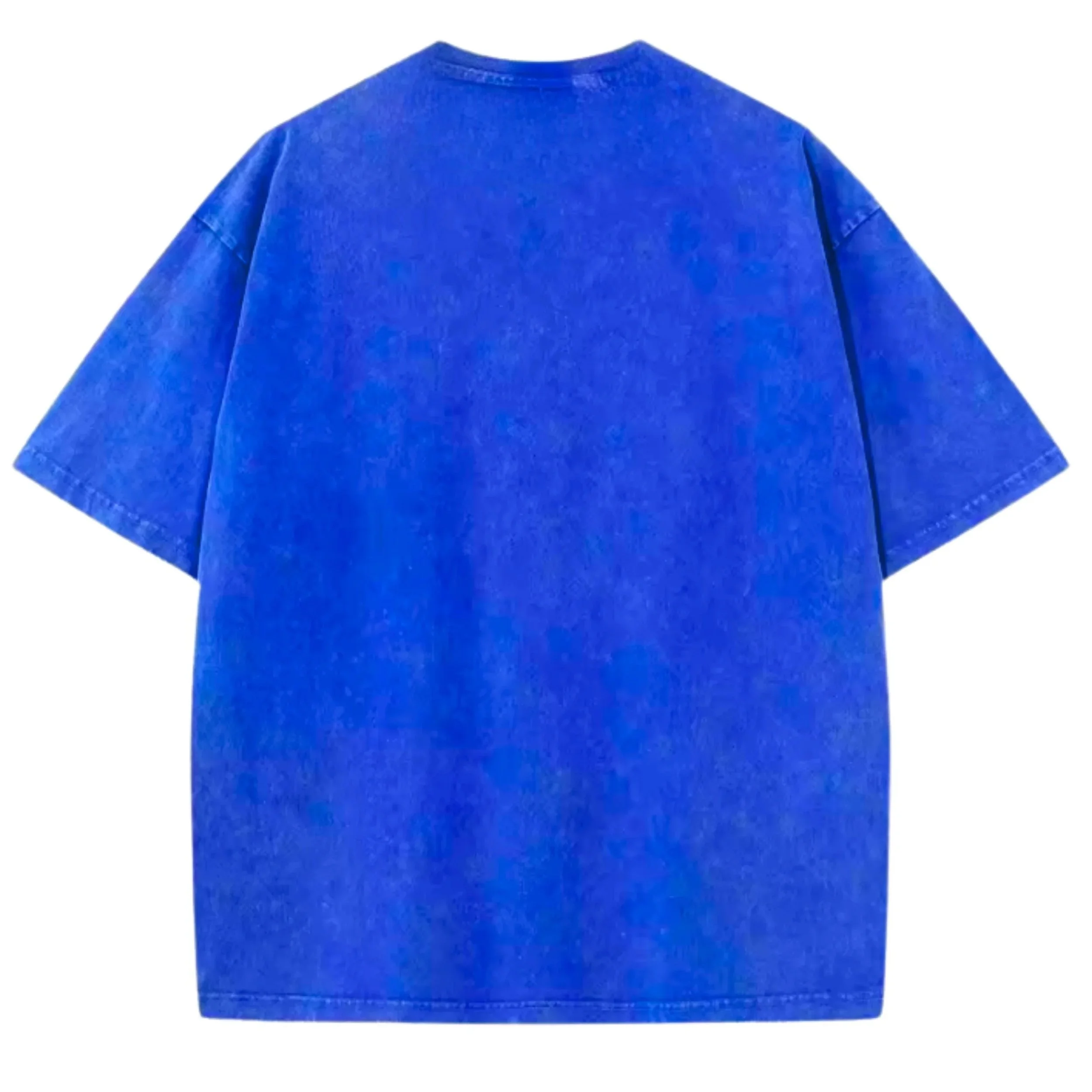 FLY+HIGH+BLUE+BACK.jpg