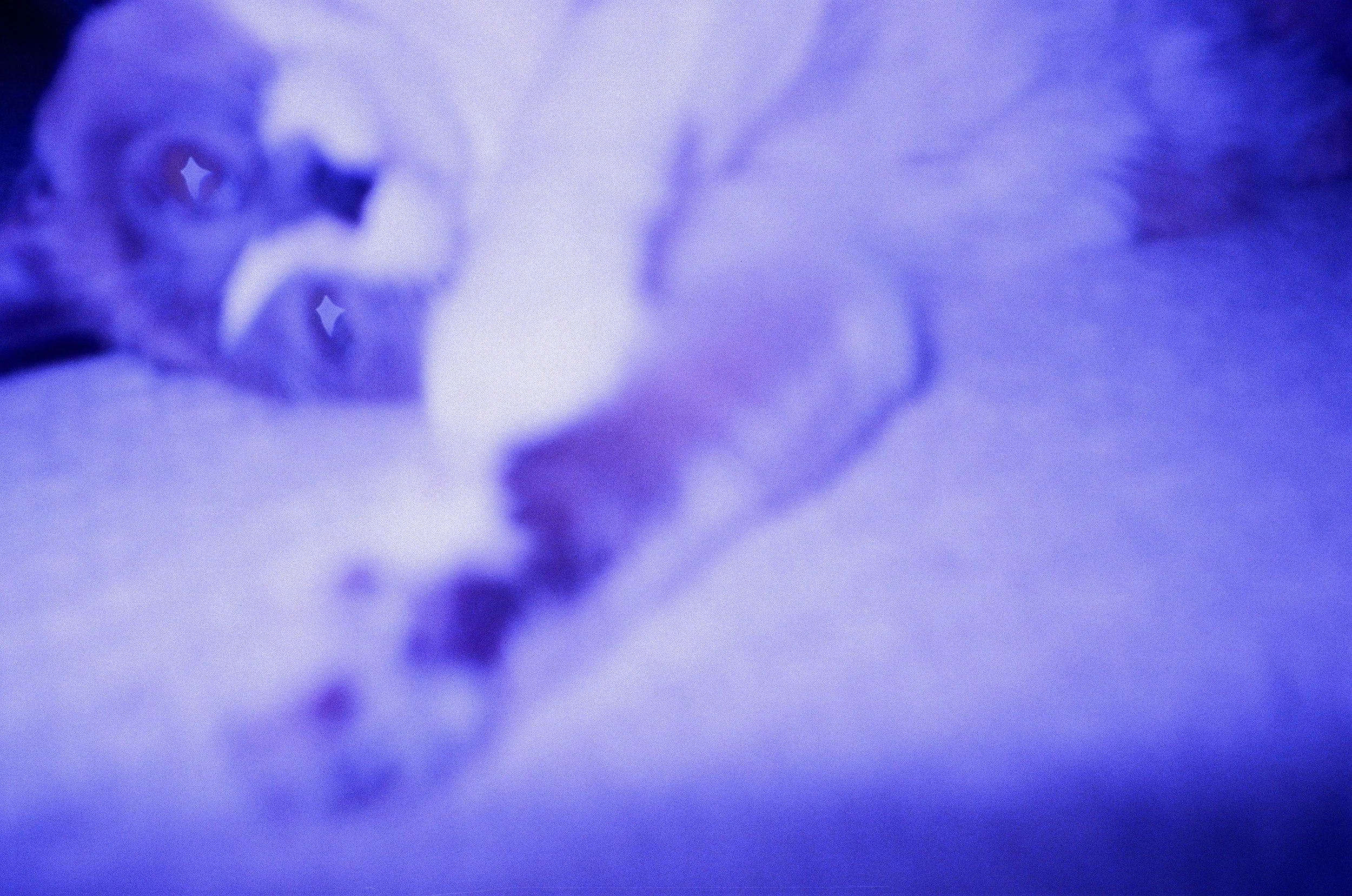 000028630015.jpg