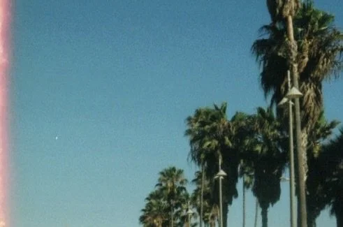 6020418402_28fa4a98ee_o.jpg