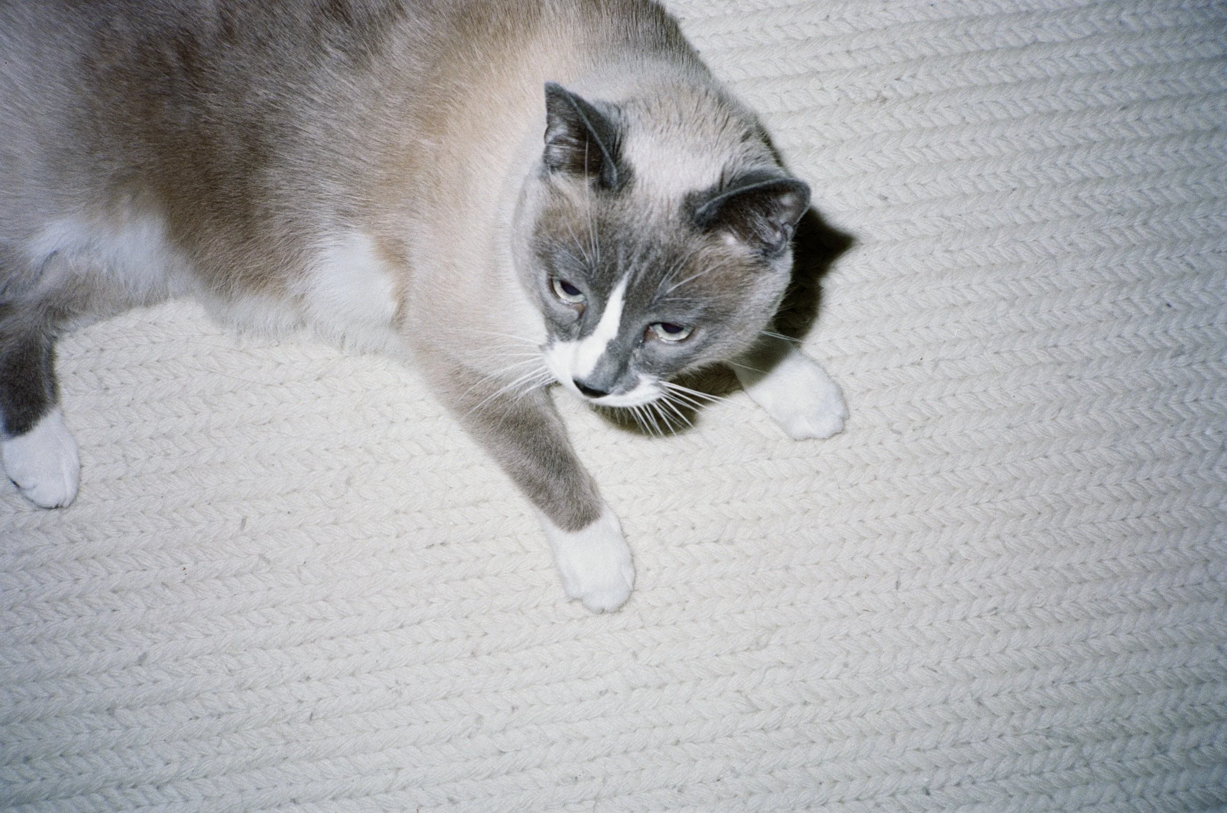 000028620025.jpg