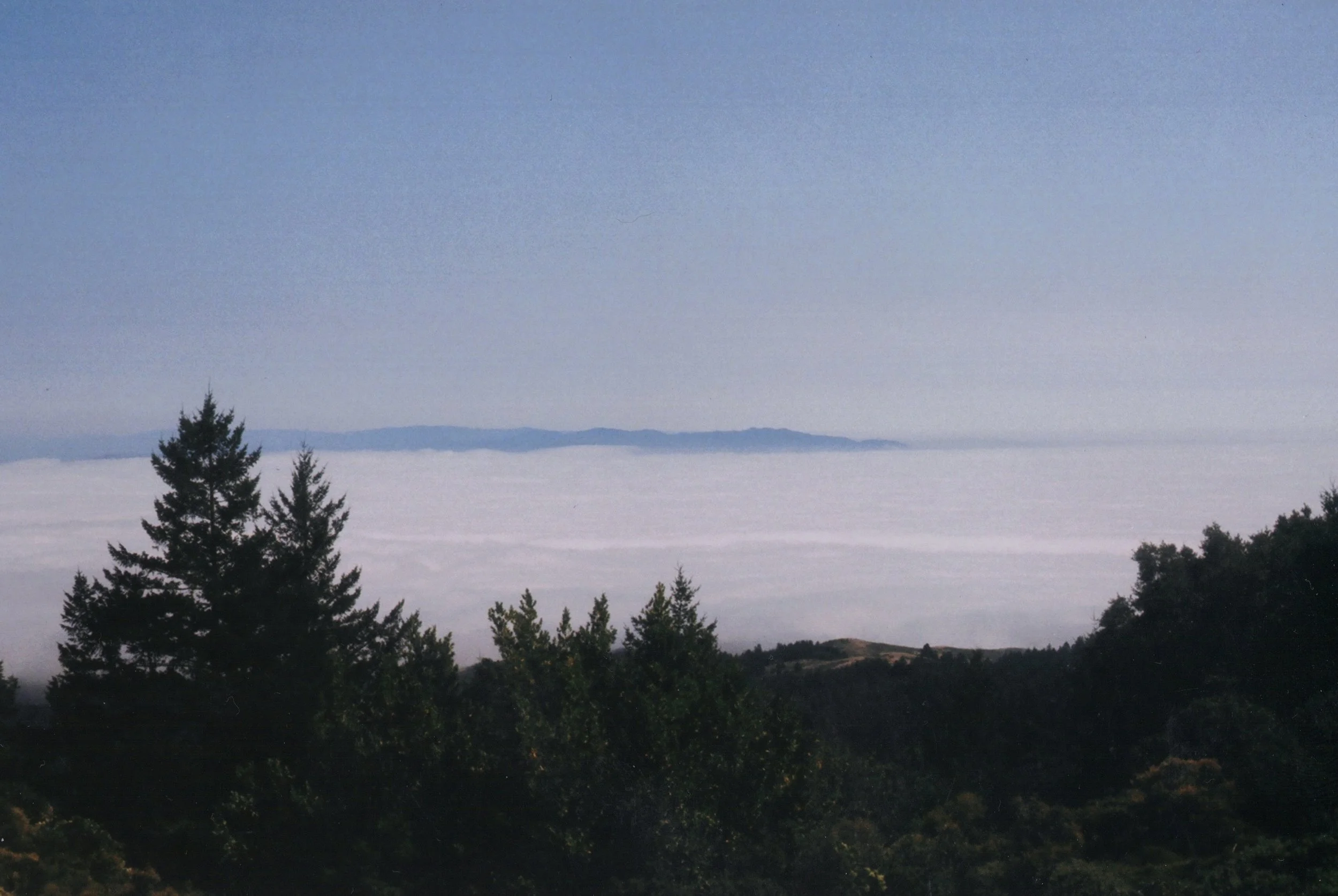 6043379062_d107ab8259_o.jpg