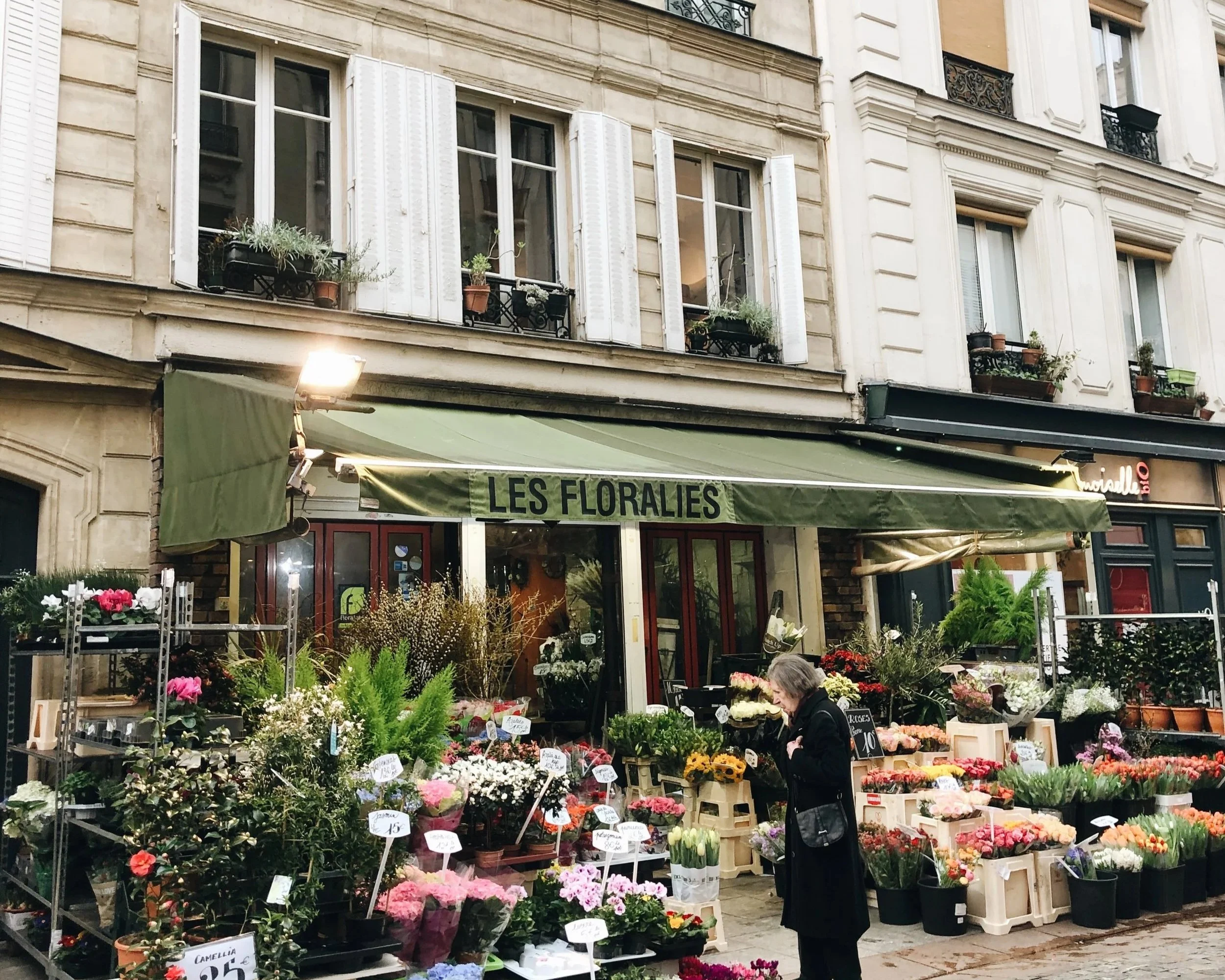 Street-side flower shop with a green canopy labeled 'Les Floralies.' Flower arrangements and potted plants are displayed outside, with a woman browsing the selection.