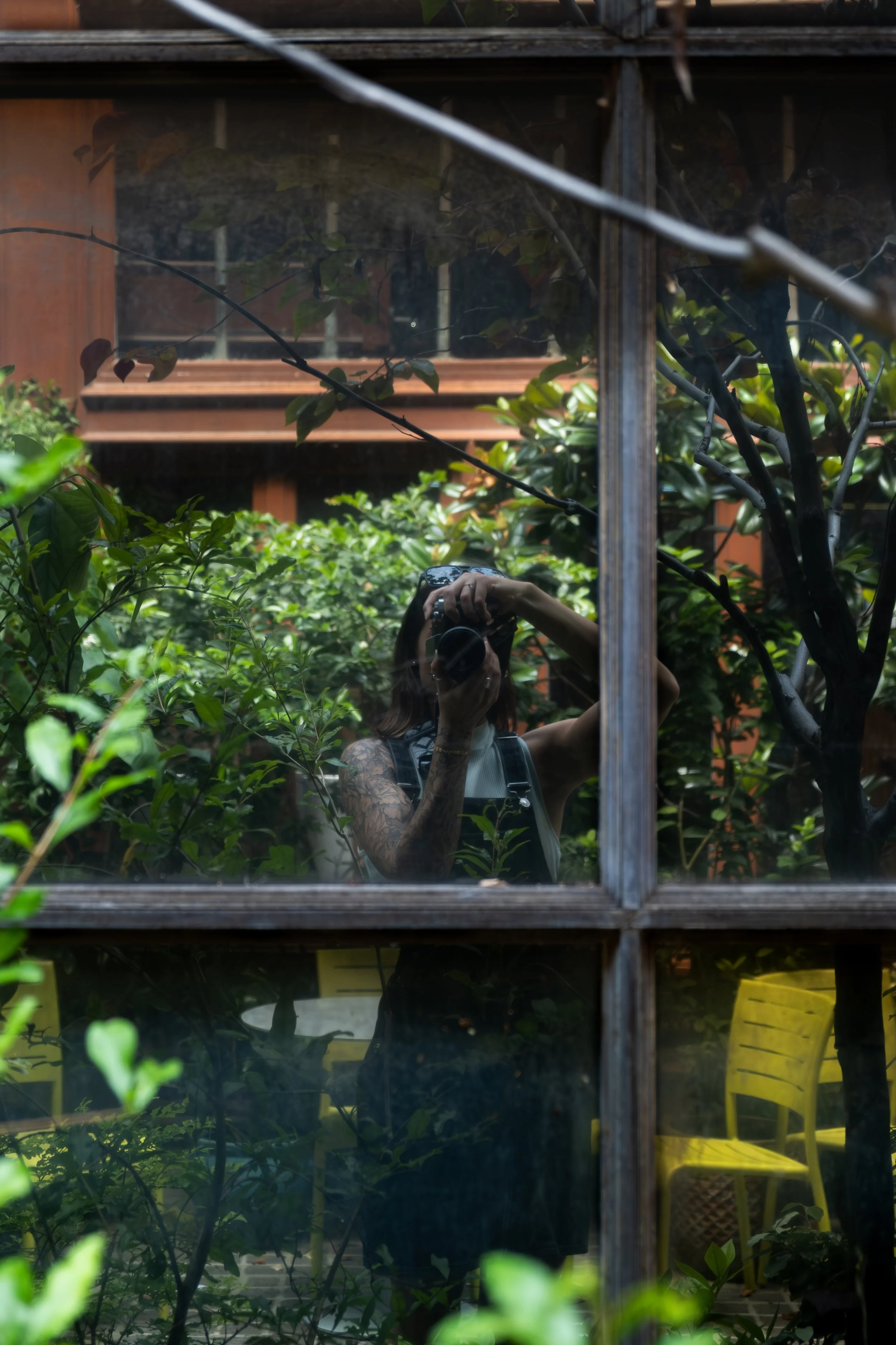 Reflection of a person holding a camera taking a picture of themselves in a window with a wooden frame, surrounded by green plants and a wooden building in the background.