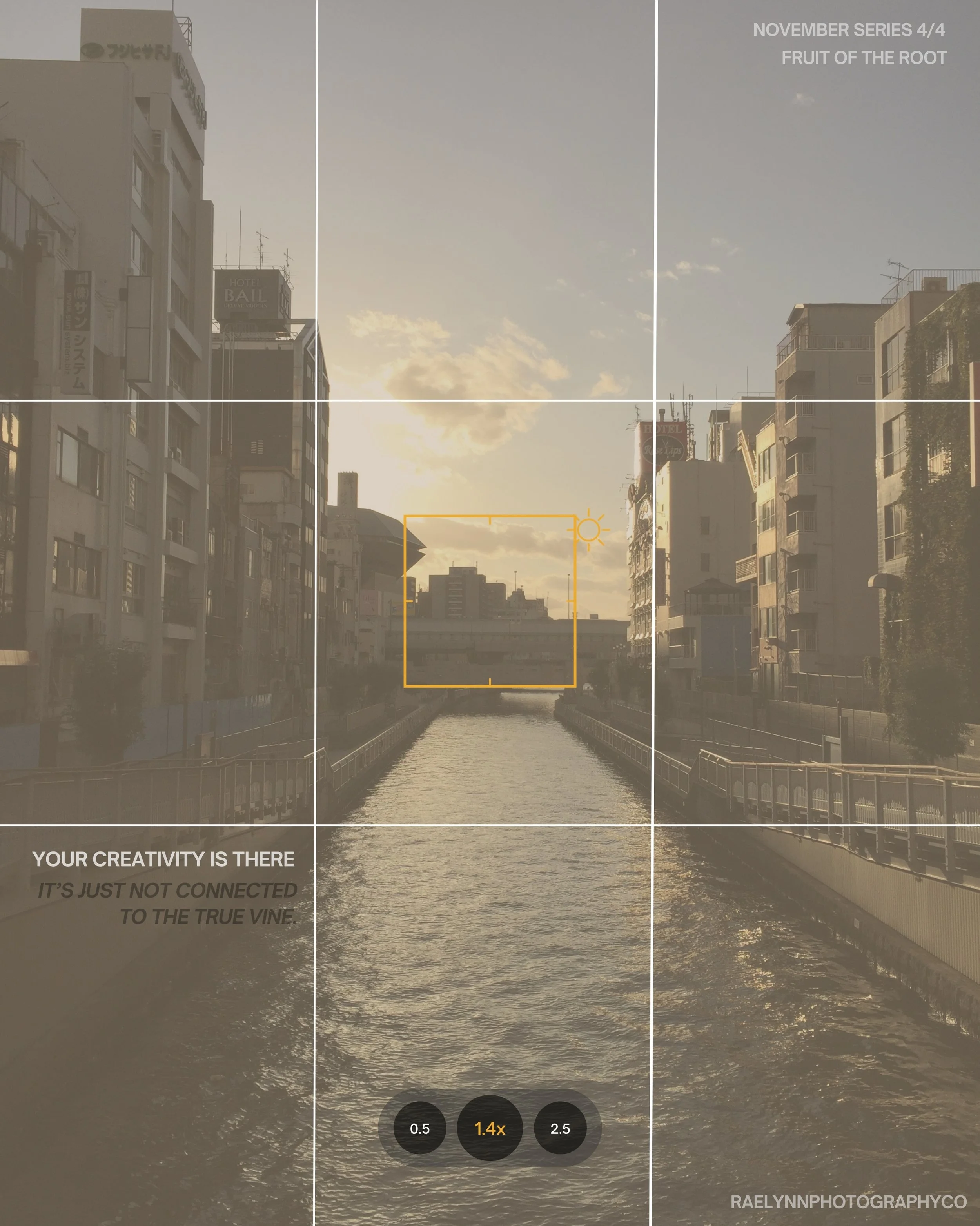 The Fruit of the Root 003