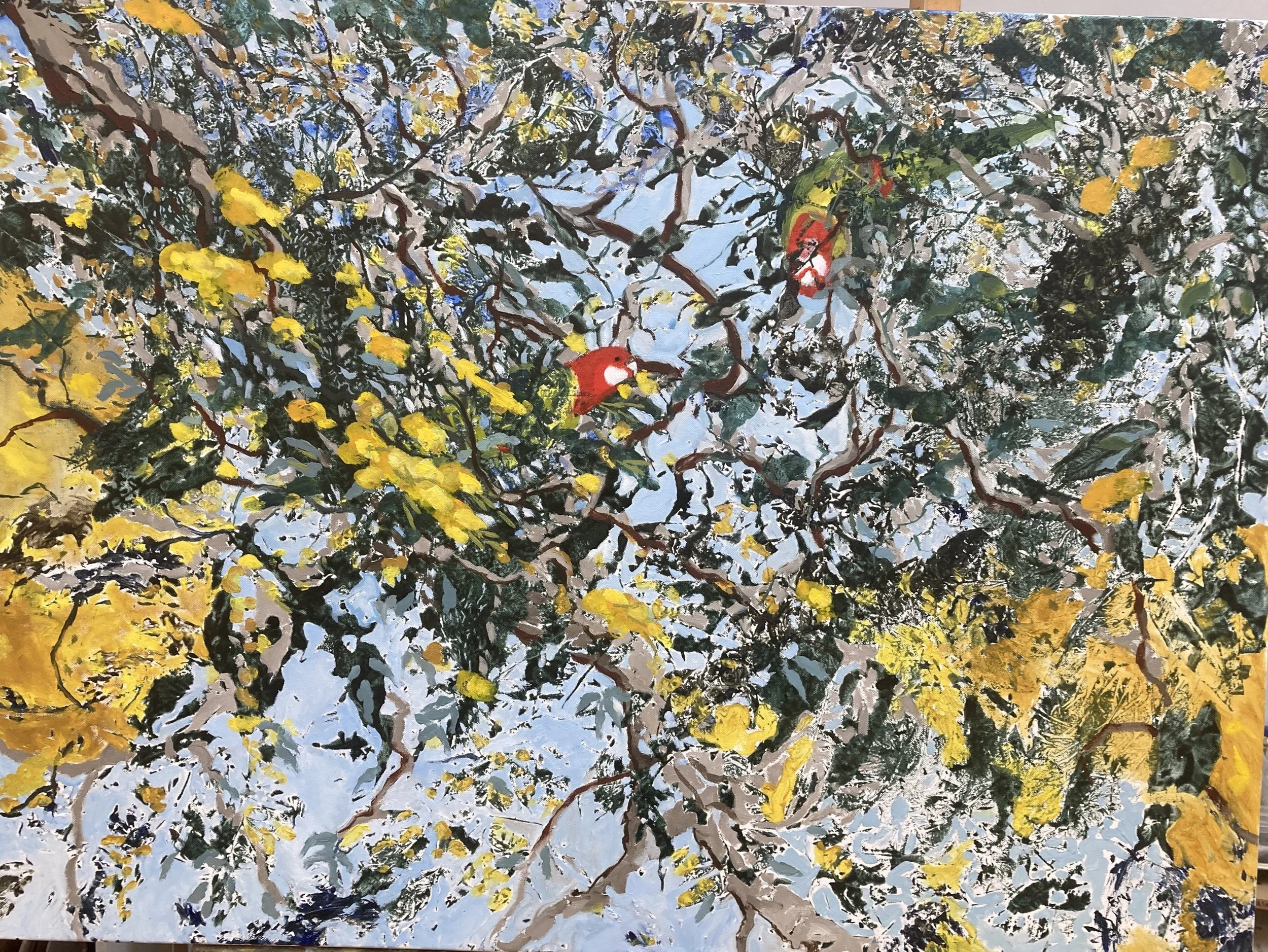 Rosellas love wattle_oil on canvas Marlene Murray.JPG