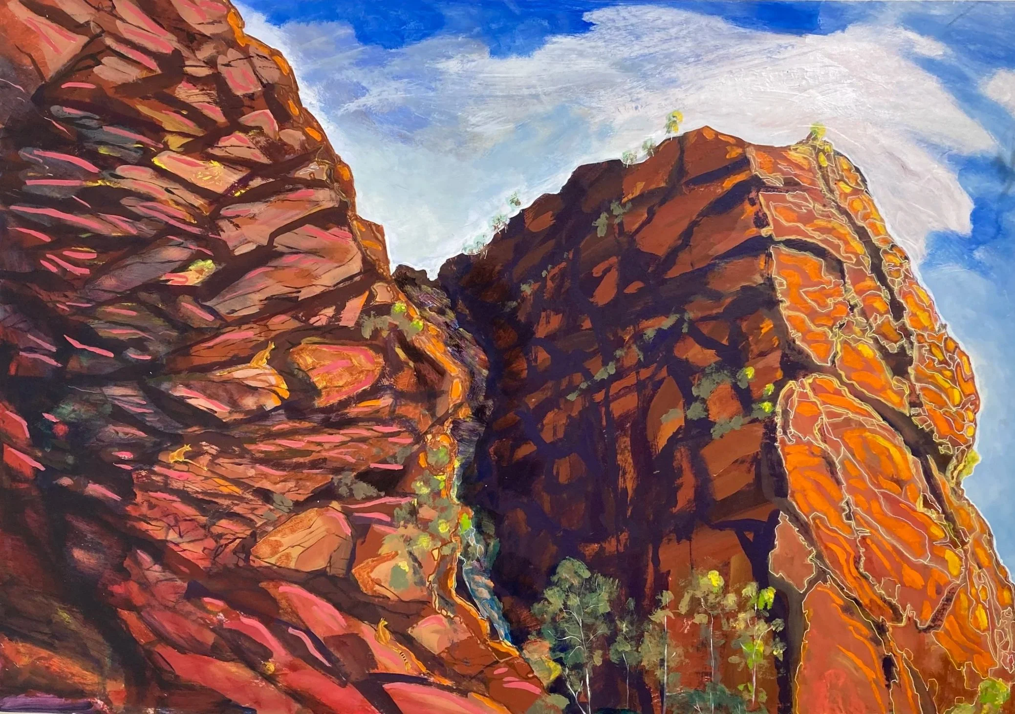 Yellow Footed Rock Wallabys at Arkaroola - Marlene Murray