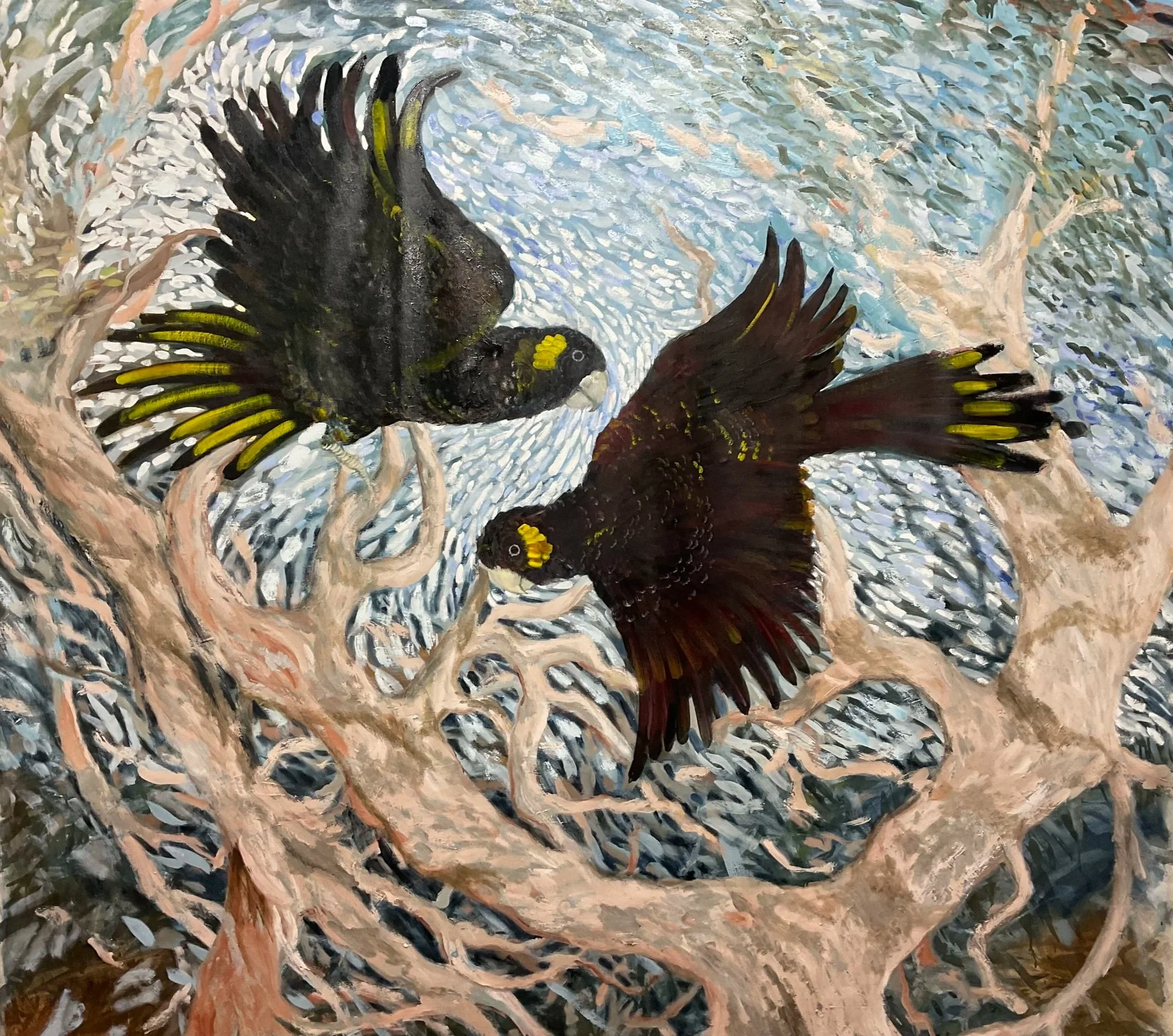 Black Cockatoos - Marlene Murray