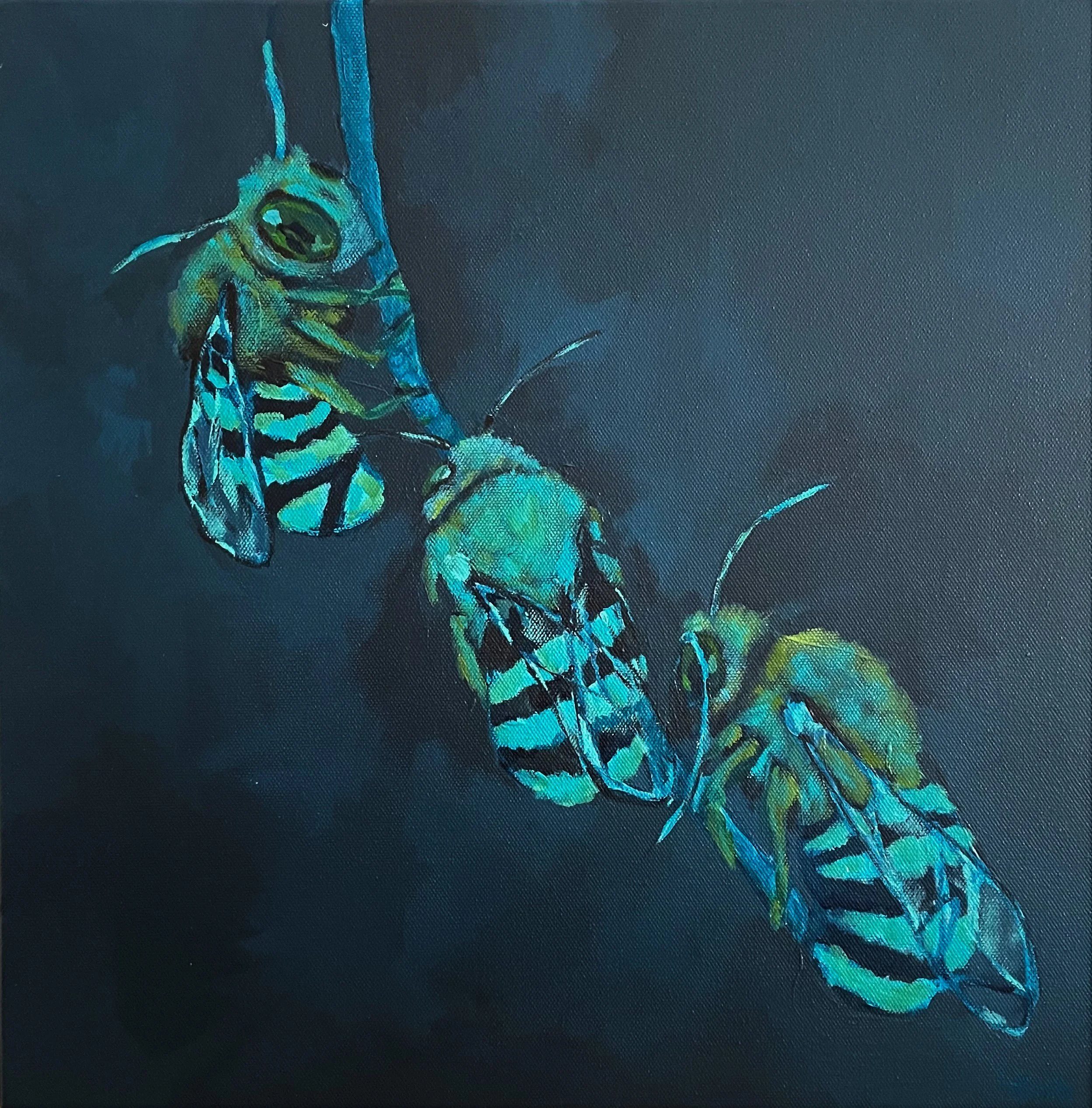 Blue Banded Bees_MM_435x435_Leanne Booth.jpg
