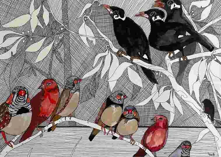Leanne Booth - "Finches and Mynas"