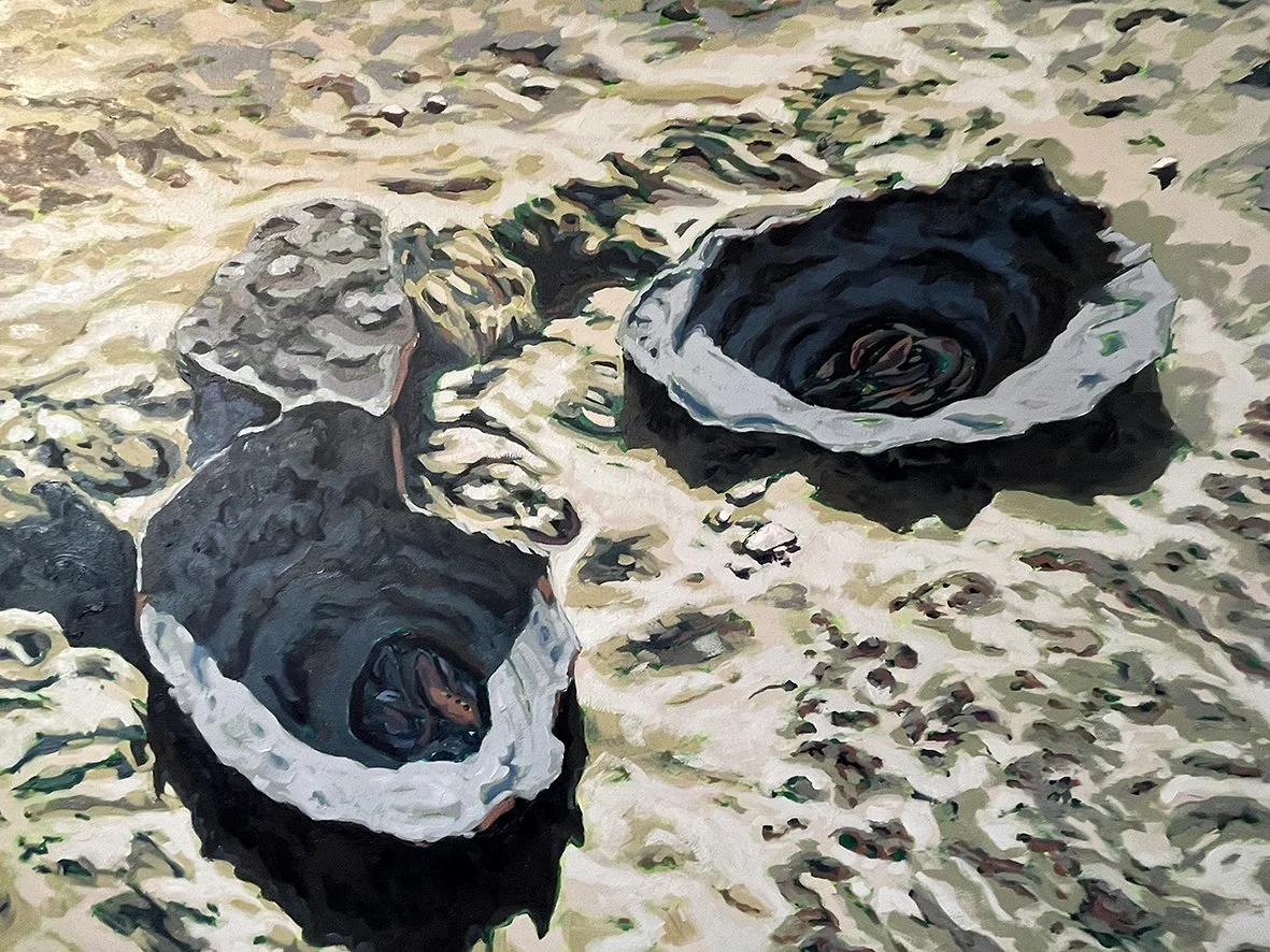 Rock Shelf Wingecarribee, oil on canvas, 910 x 1220 mm.jpeg