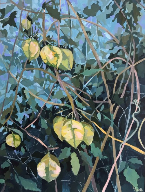 Bush Lanterns by Leanne Booth