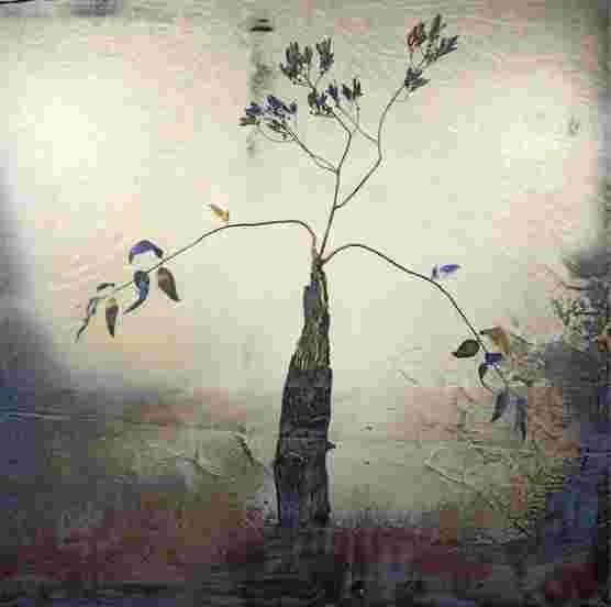Clayton John - "Imaginata Australis" - Mixed media