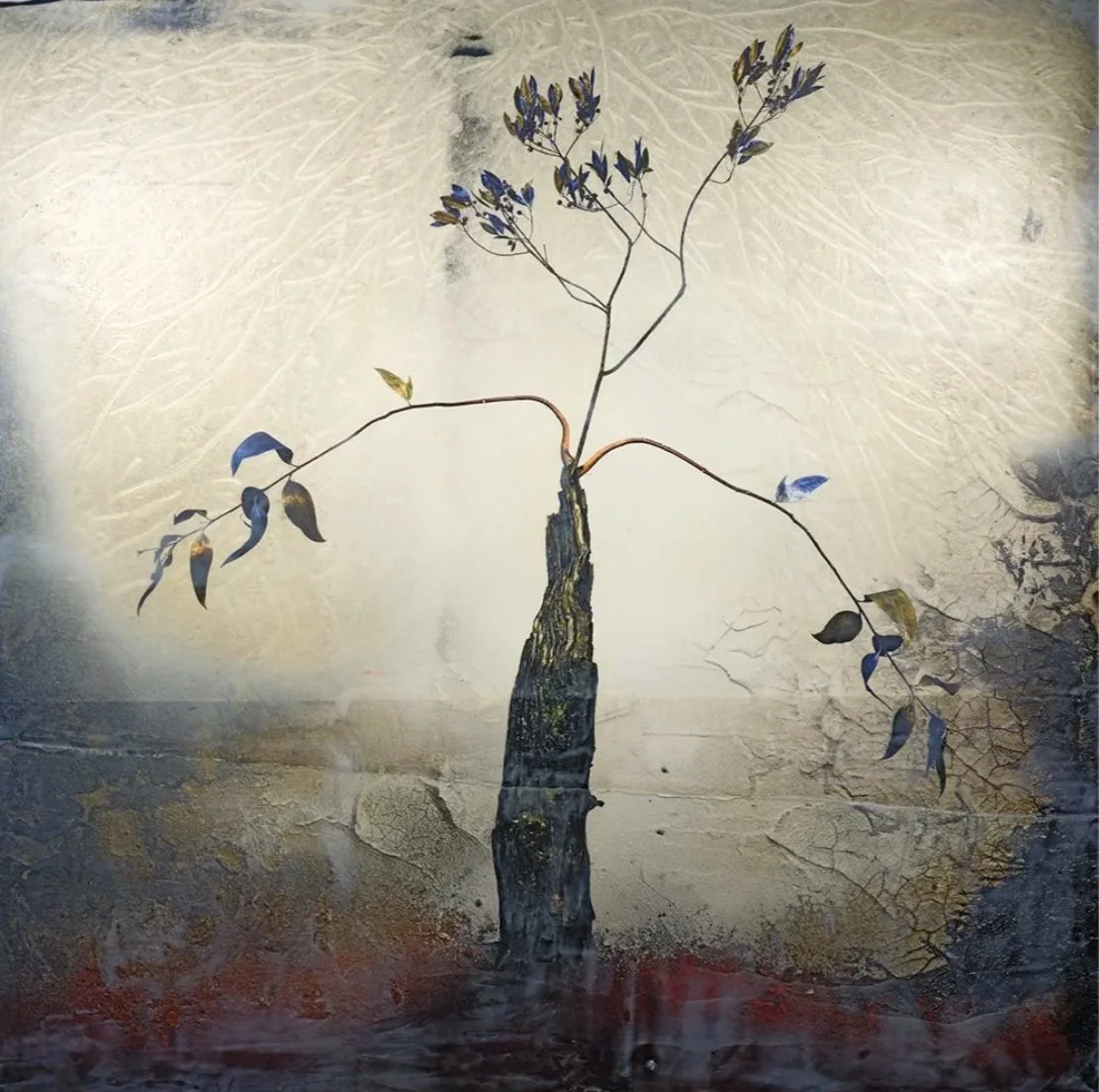 Clayton John - "Imaginata Australis" - Mixed media