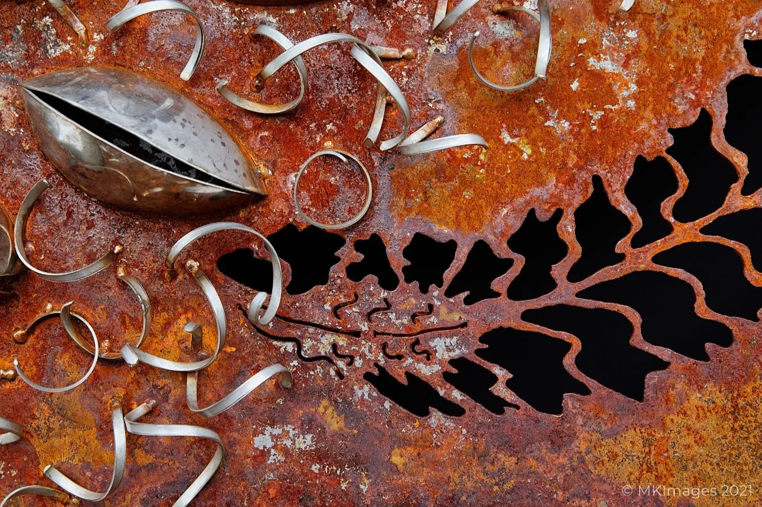 Mark Kelly - "Banksia Beauty" HW350 and Stainless Steels - 30cm