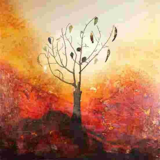 John Clayton - "Imaginata Australis"