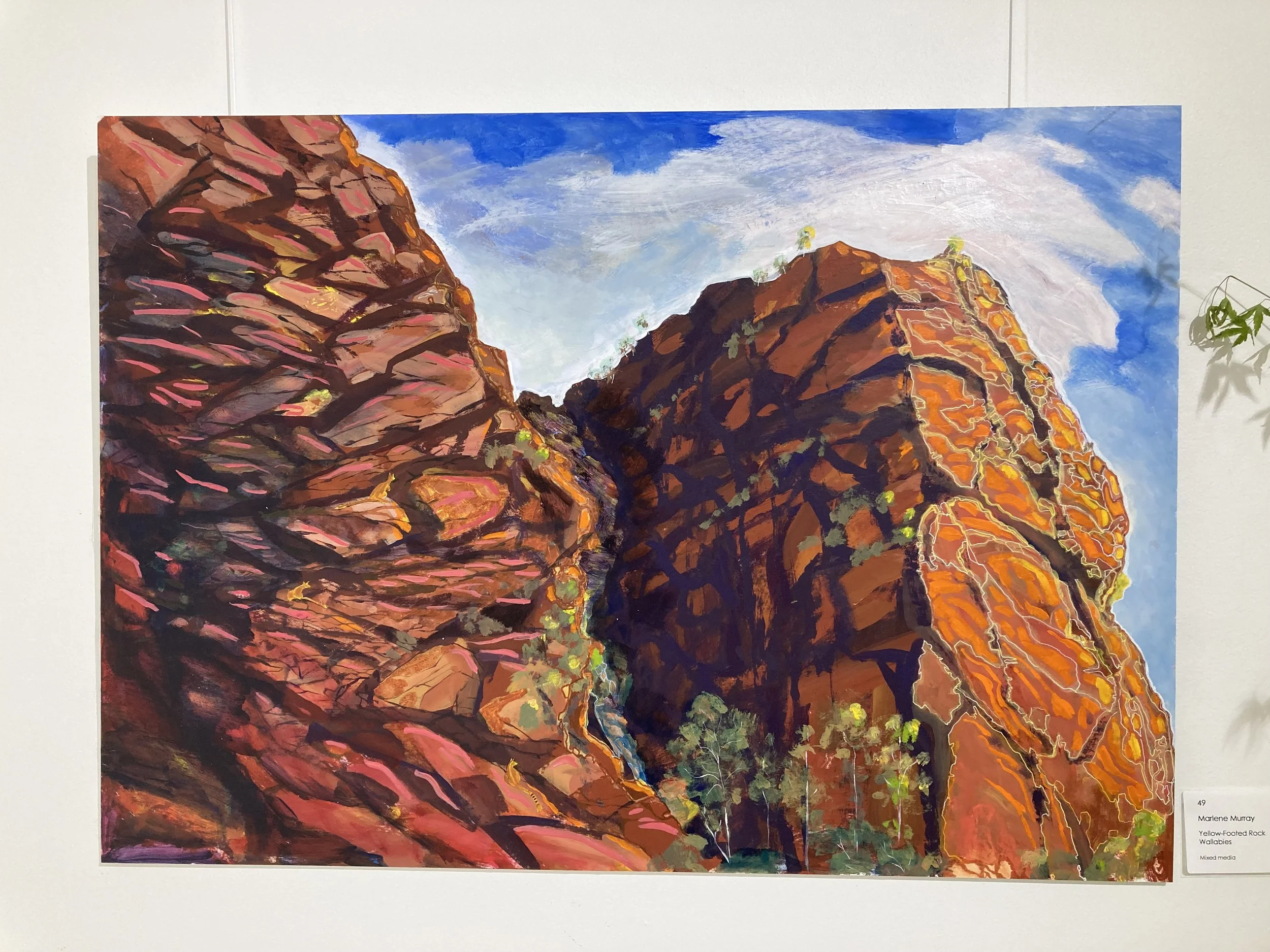 yellow footed Rock Wallabys at Arkaroola_acrylic on board.jpg