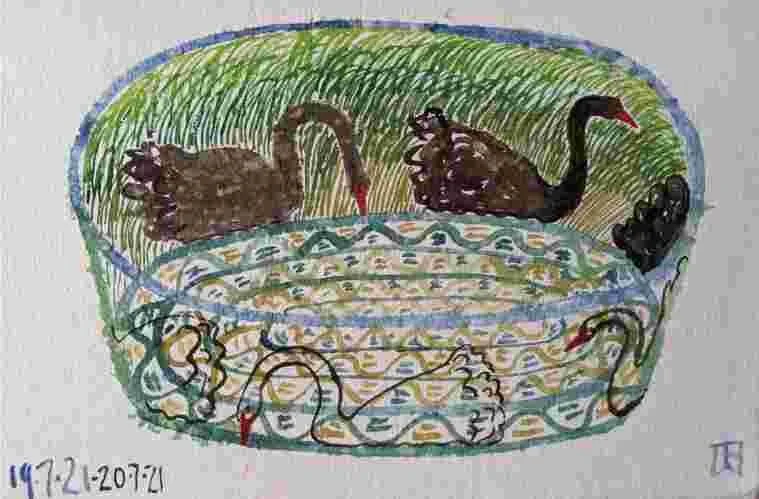 Toni Warburton - "Black swans on field pond"