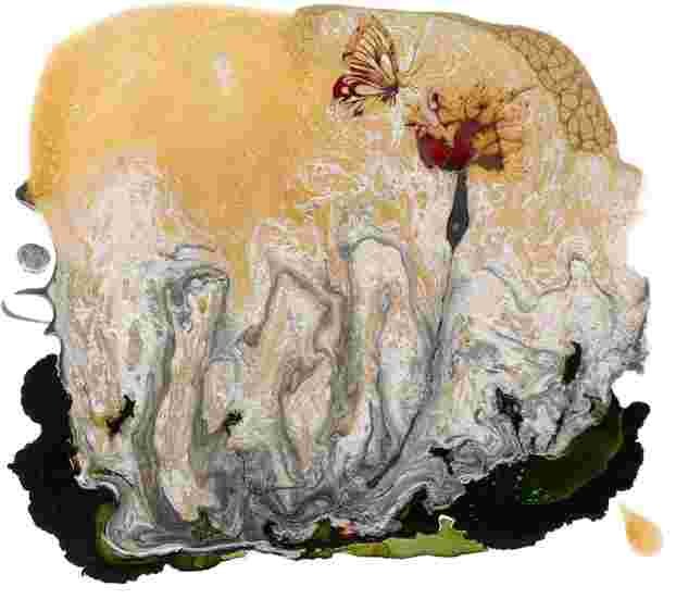 "X-Pollination"