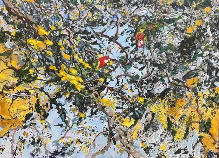 Marlene Murray - 'Rosellas love Wattles"