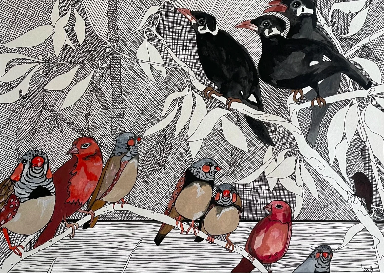 Leanne Booth - "Finches and Mynas"