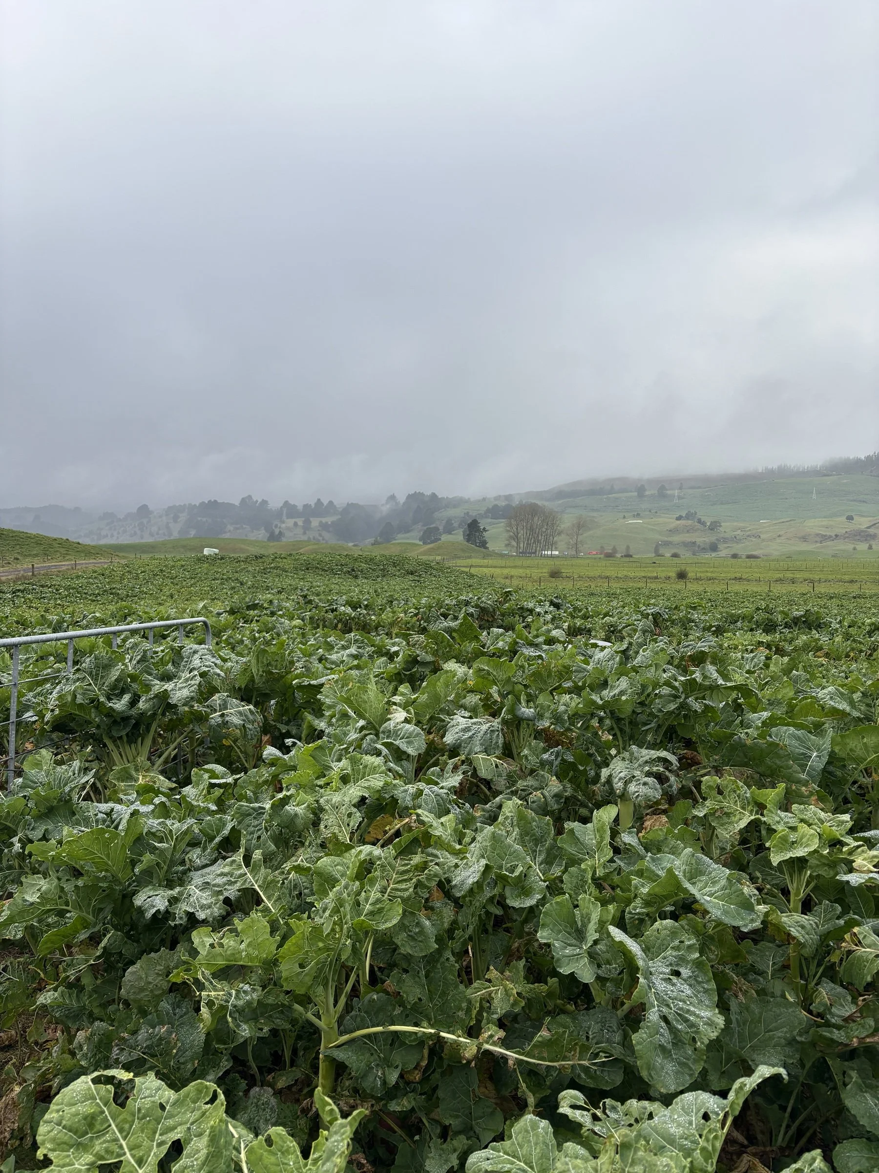 "Why not use a product that feeds the crop for longer? It's self-explanatory really."