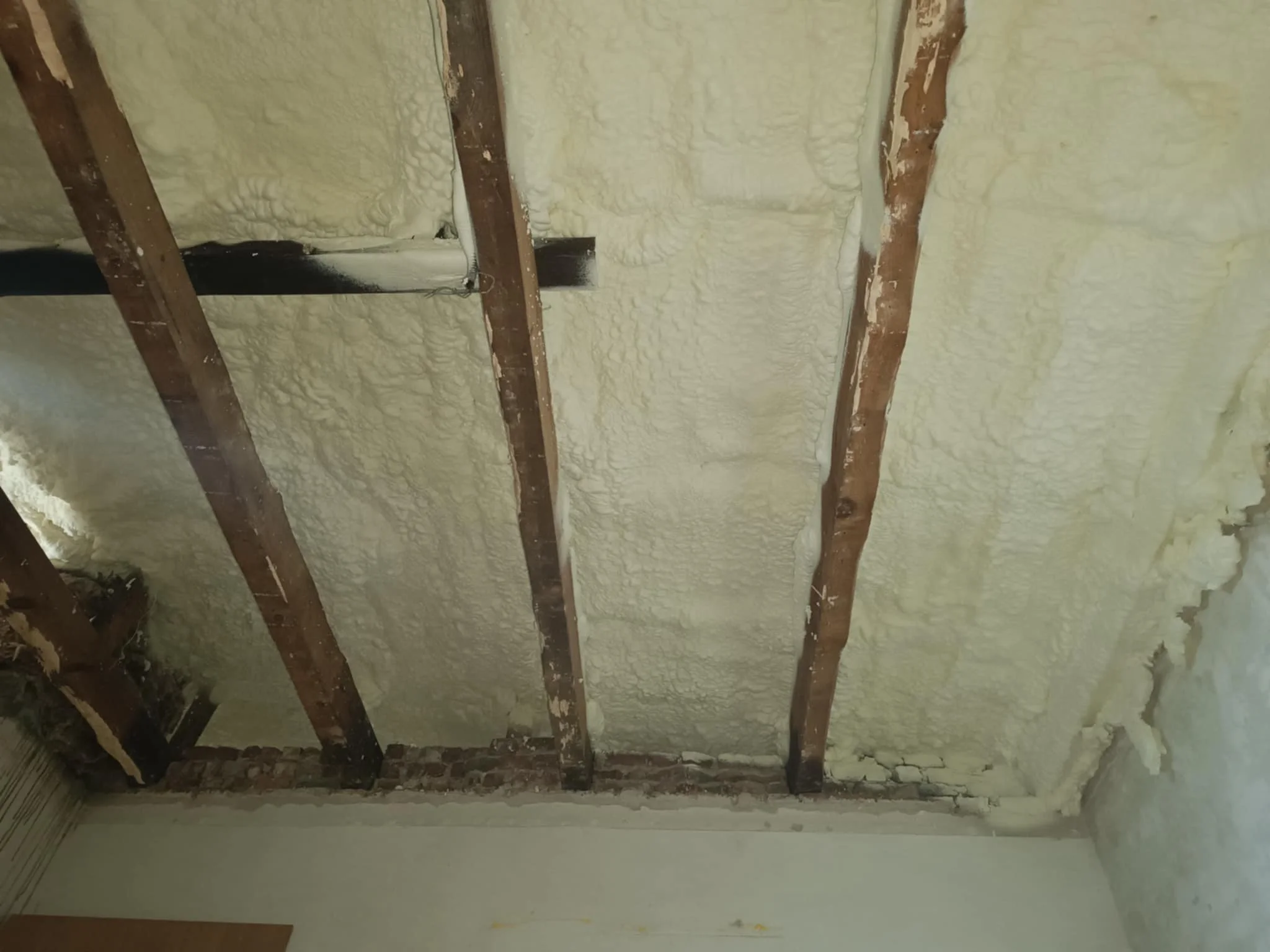 A ceiling with exposed wood beams and spray foam insulation between them.