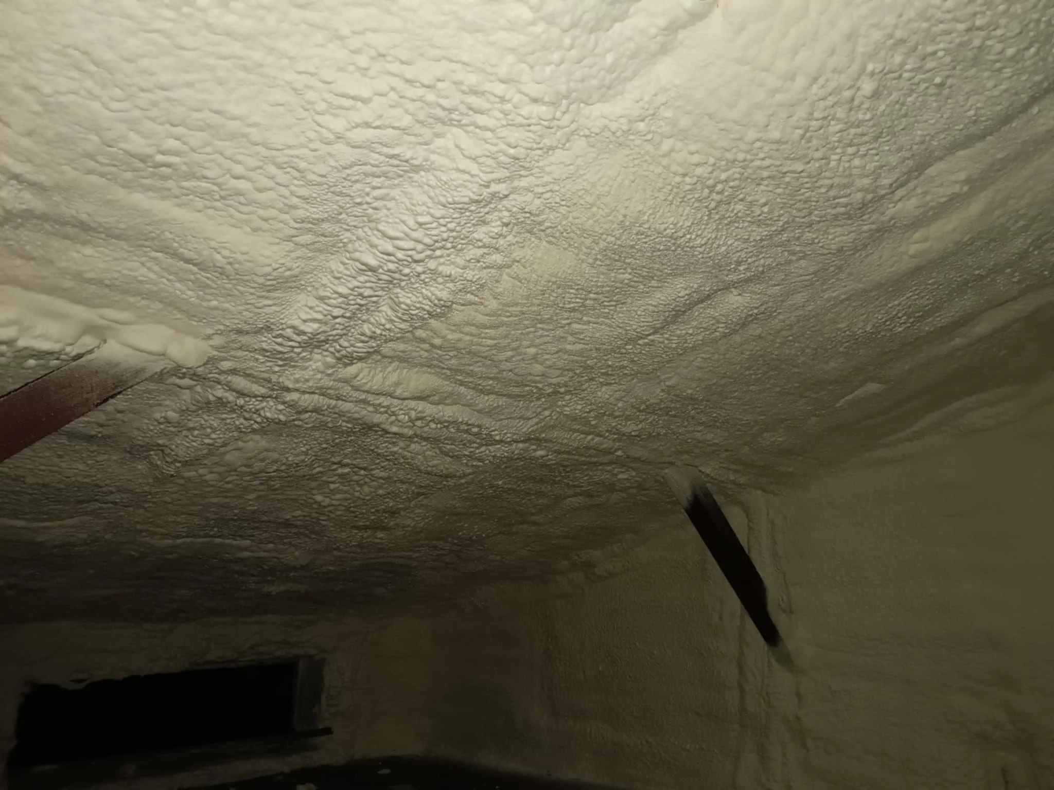 613096186_122145173066968824_8661882558841393699_n (1).jpg