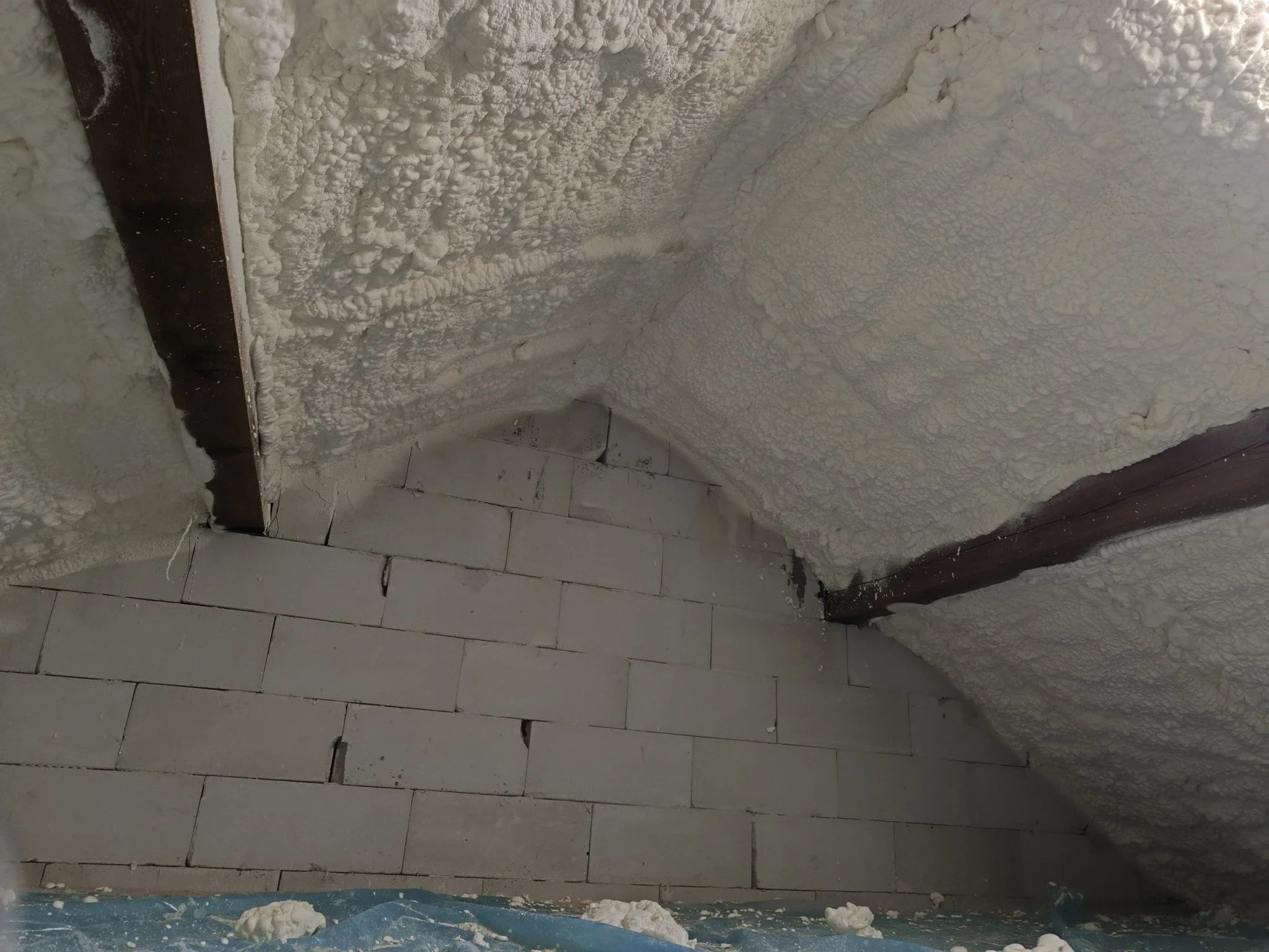 590461563_122137202882968824_5751269013778625548_n (1).jpg