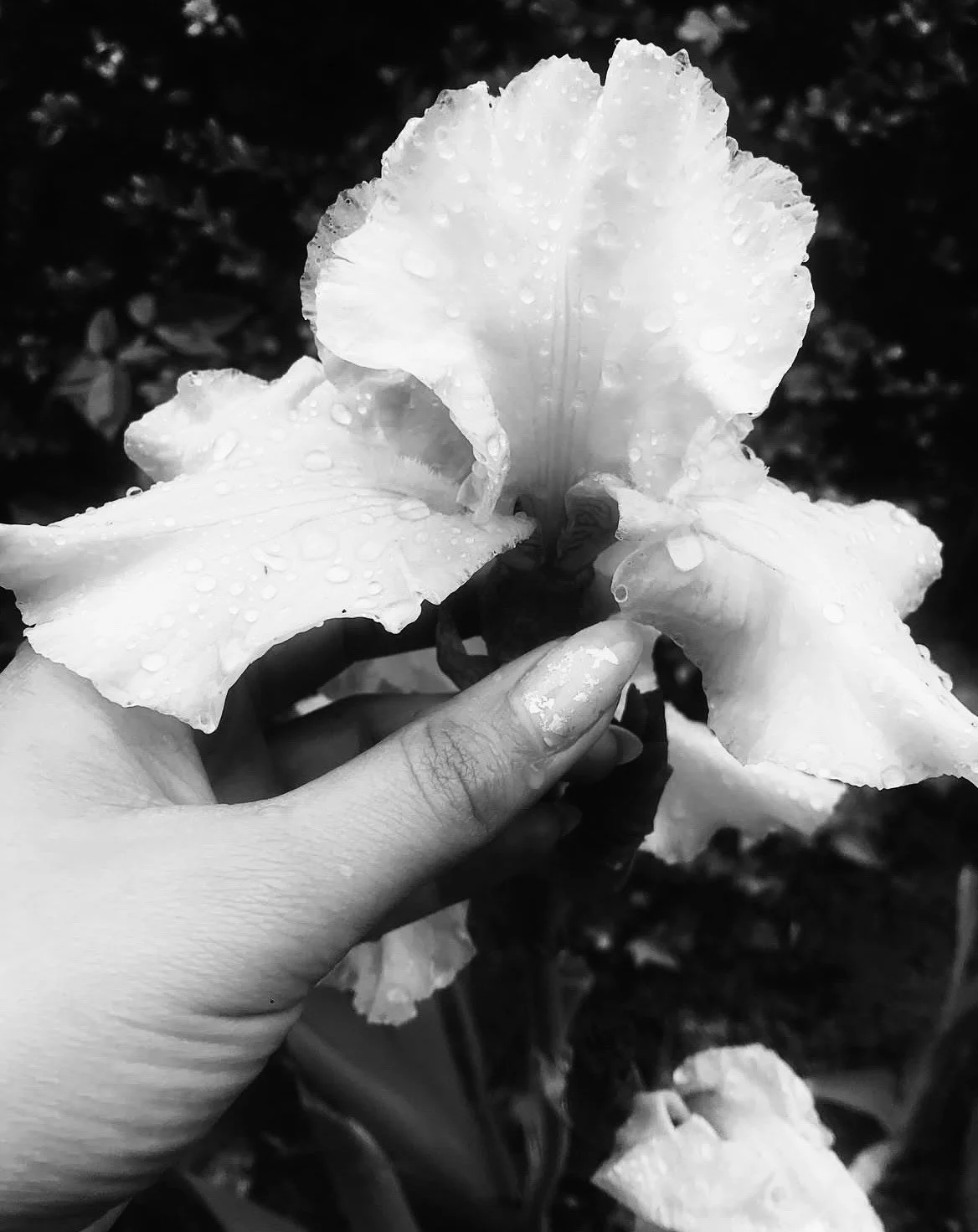 IMG_8974.jpeg