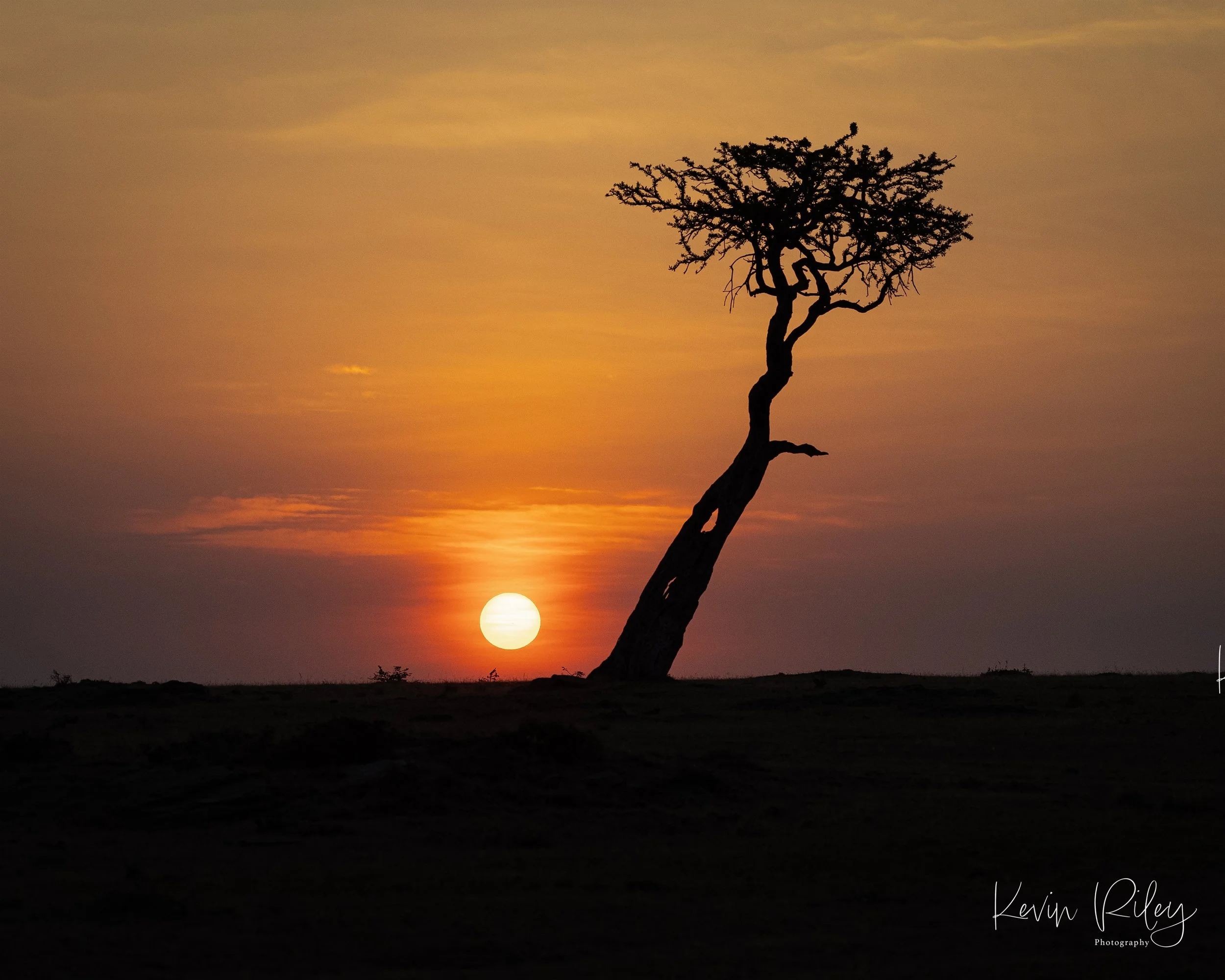 Sunset at the Spirit Tree 8x10.jpg