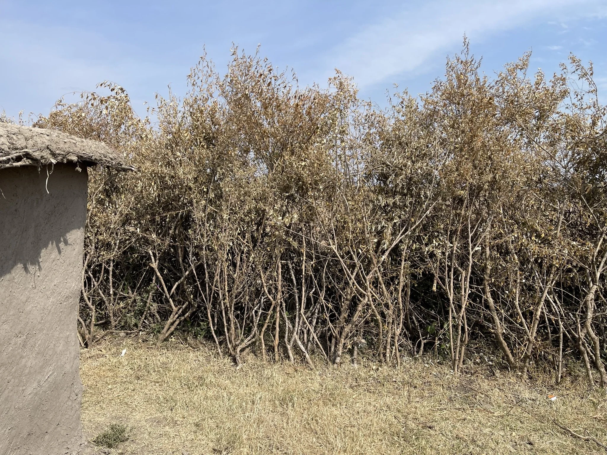 Village near Bush Camp 2.JPEG