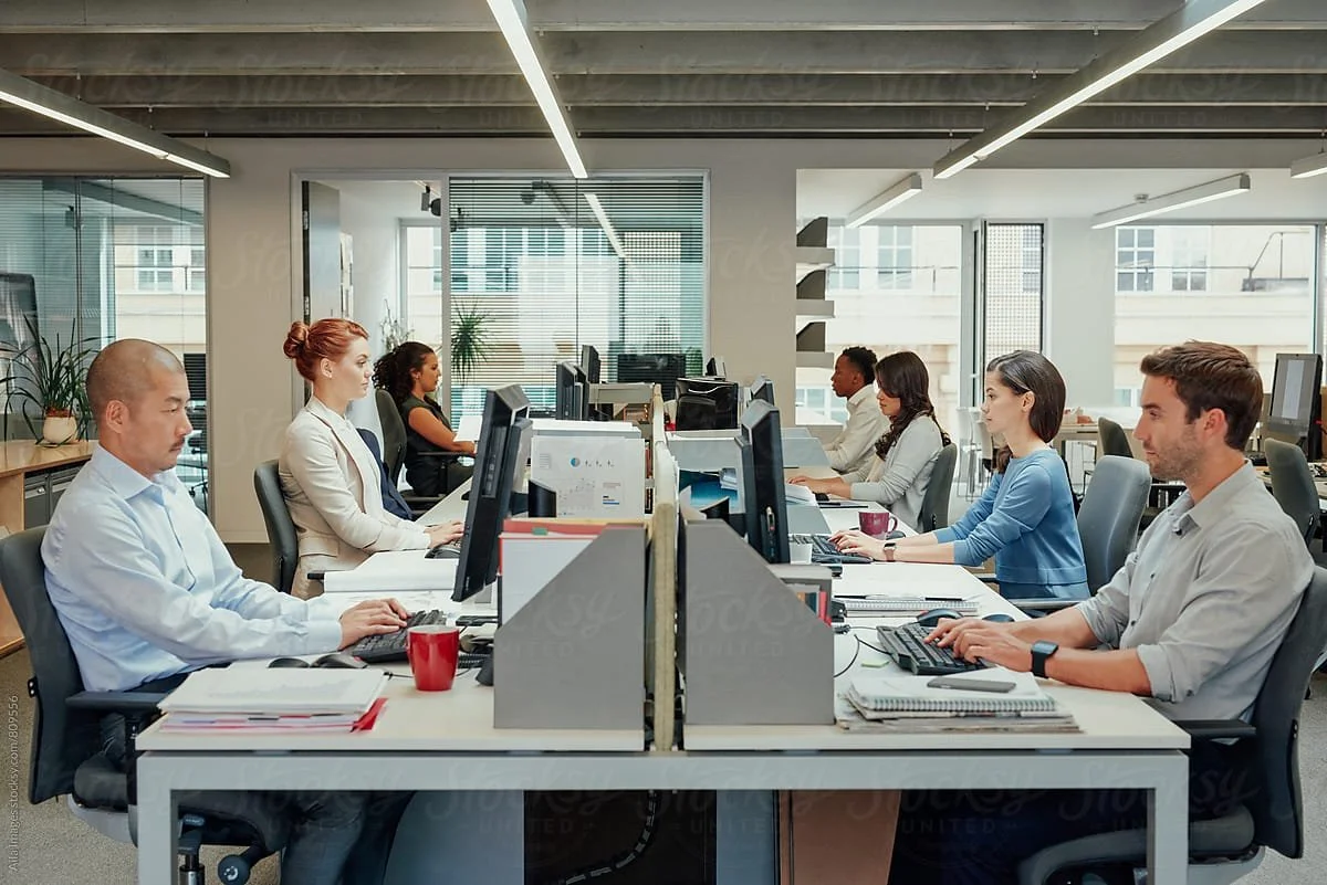Office workers sitting at desks working on computers in a modern office.