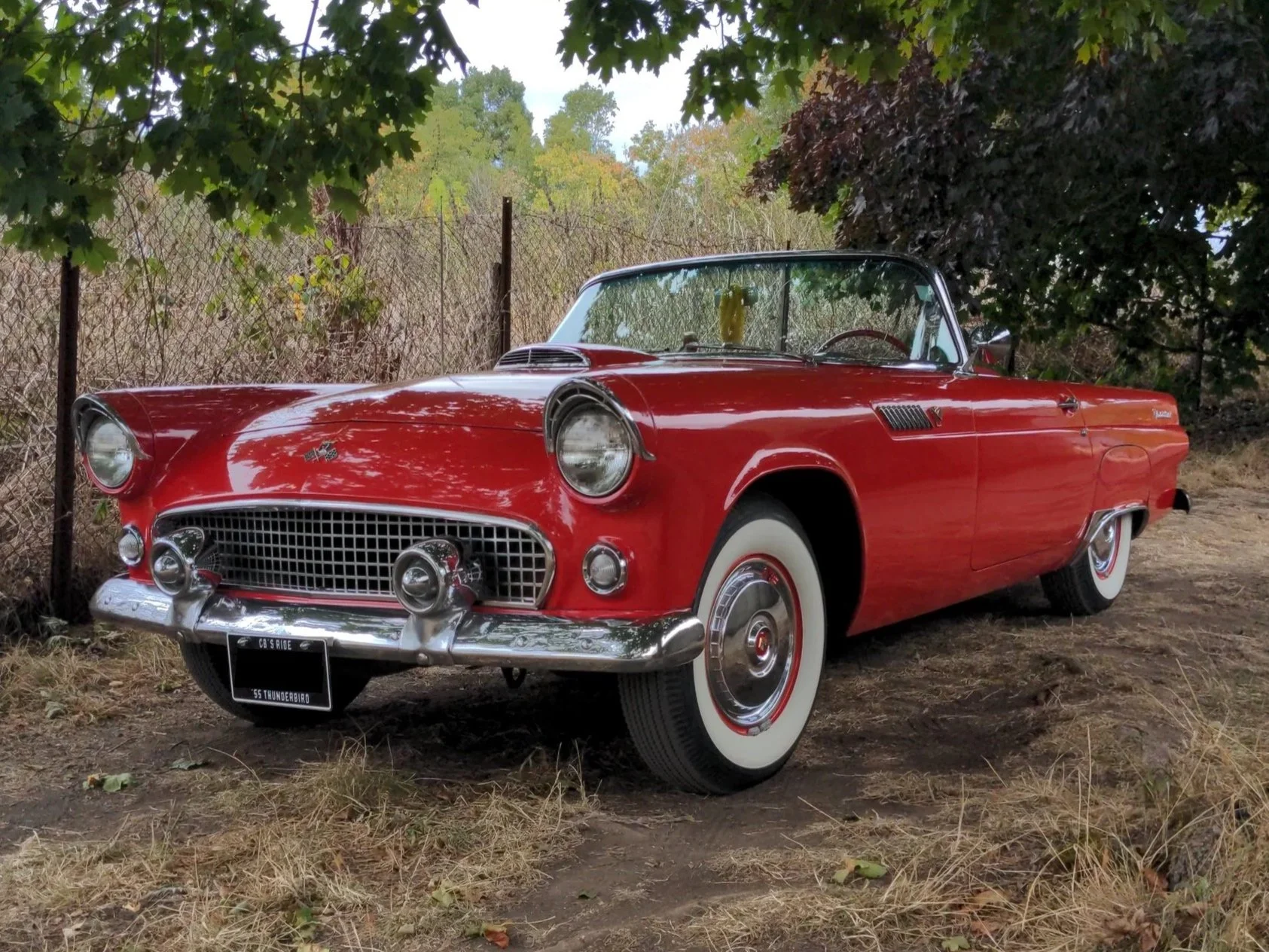 1955 Ford Thunderbird Front.jpg