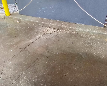 Screen Shot 2025-07-31 at 7.51.19 PM.png