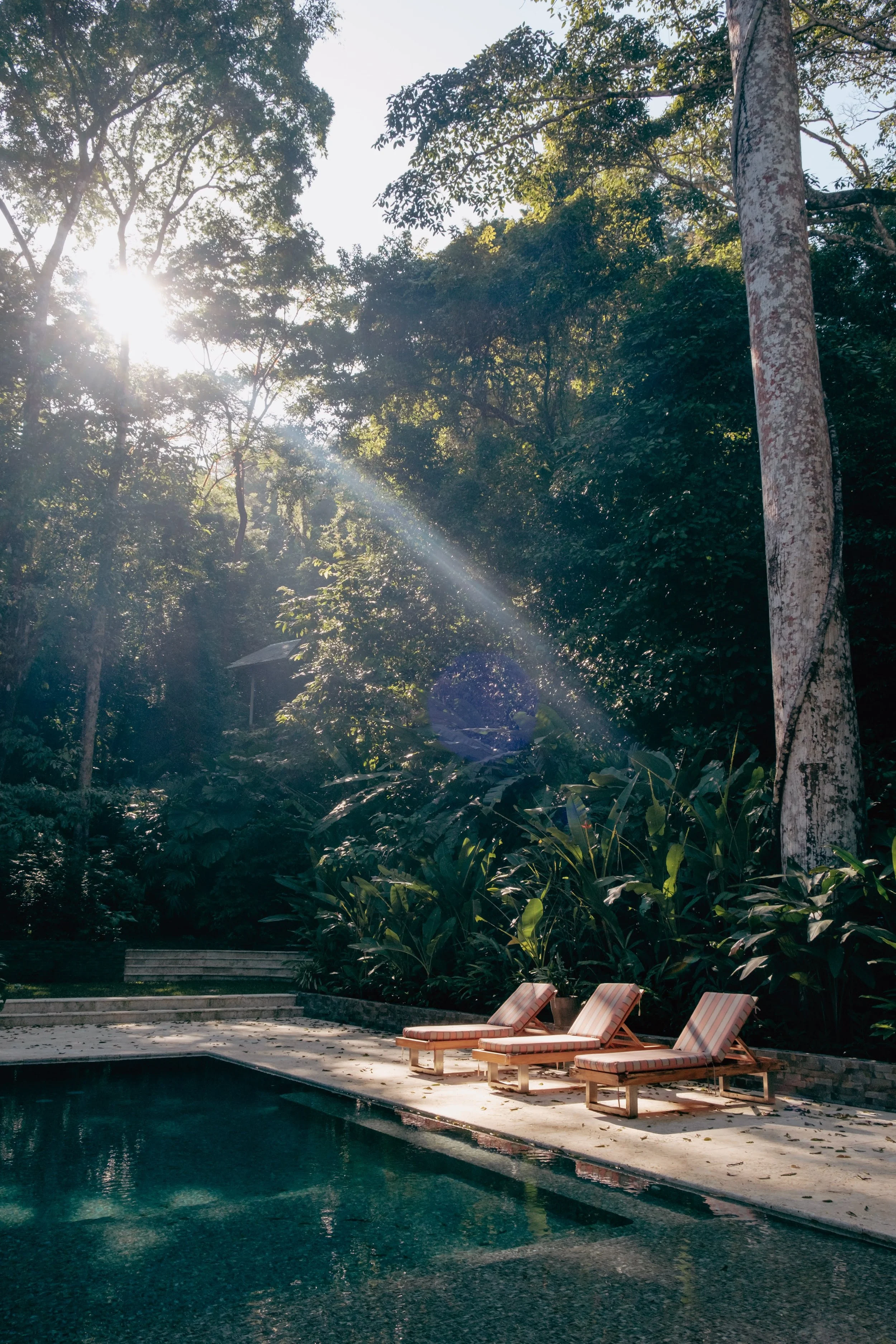 Three lounge chairs bask in the sun beside a sparkling pool, inviting relaxation on a warm day.