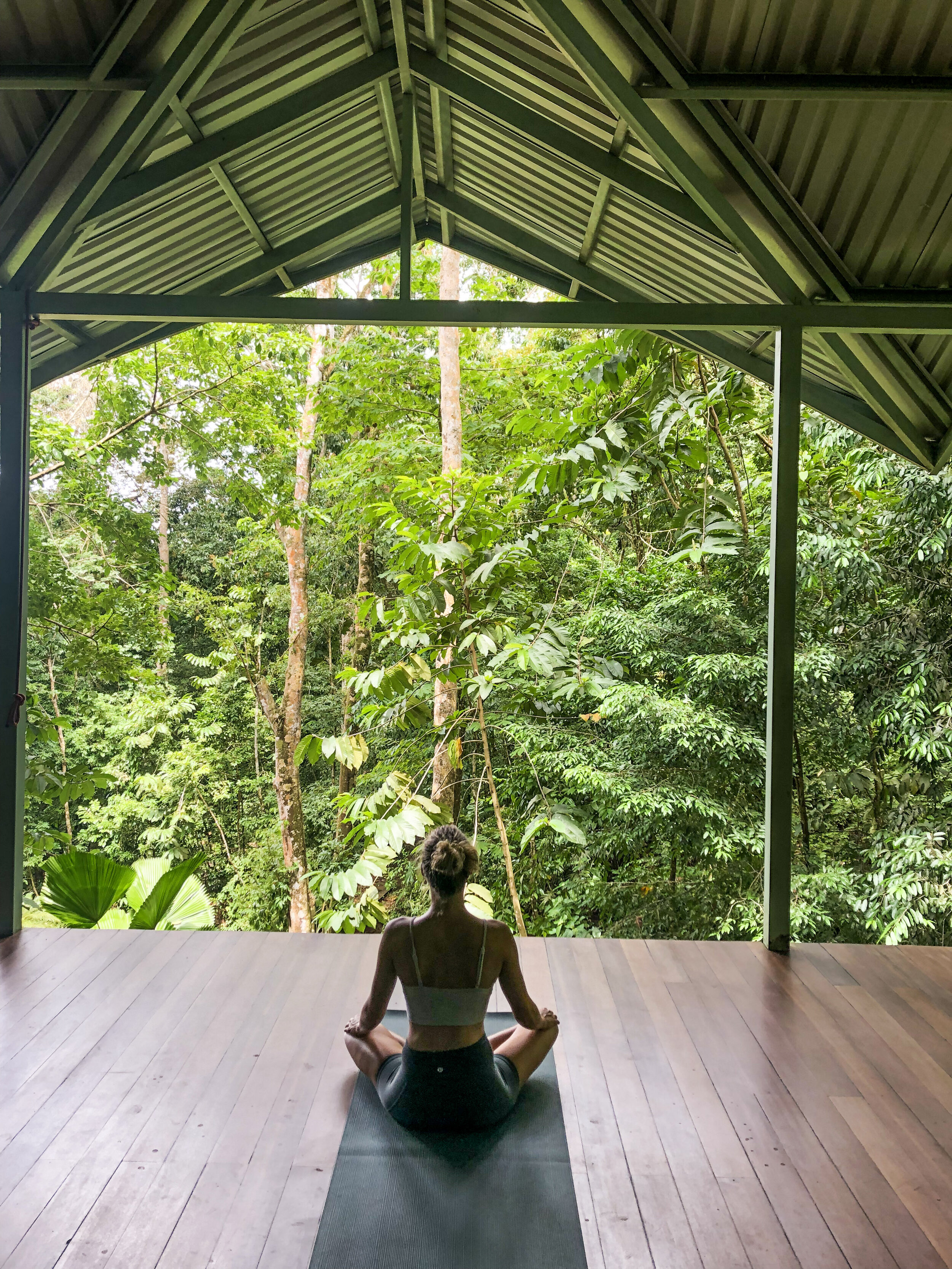 A woman in a yoga pose sits peacefully in front of a lush green forest backdrop.