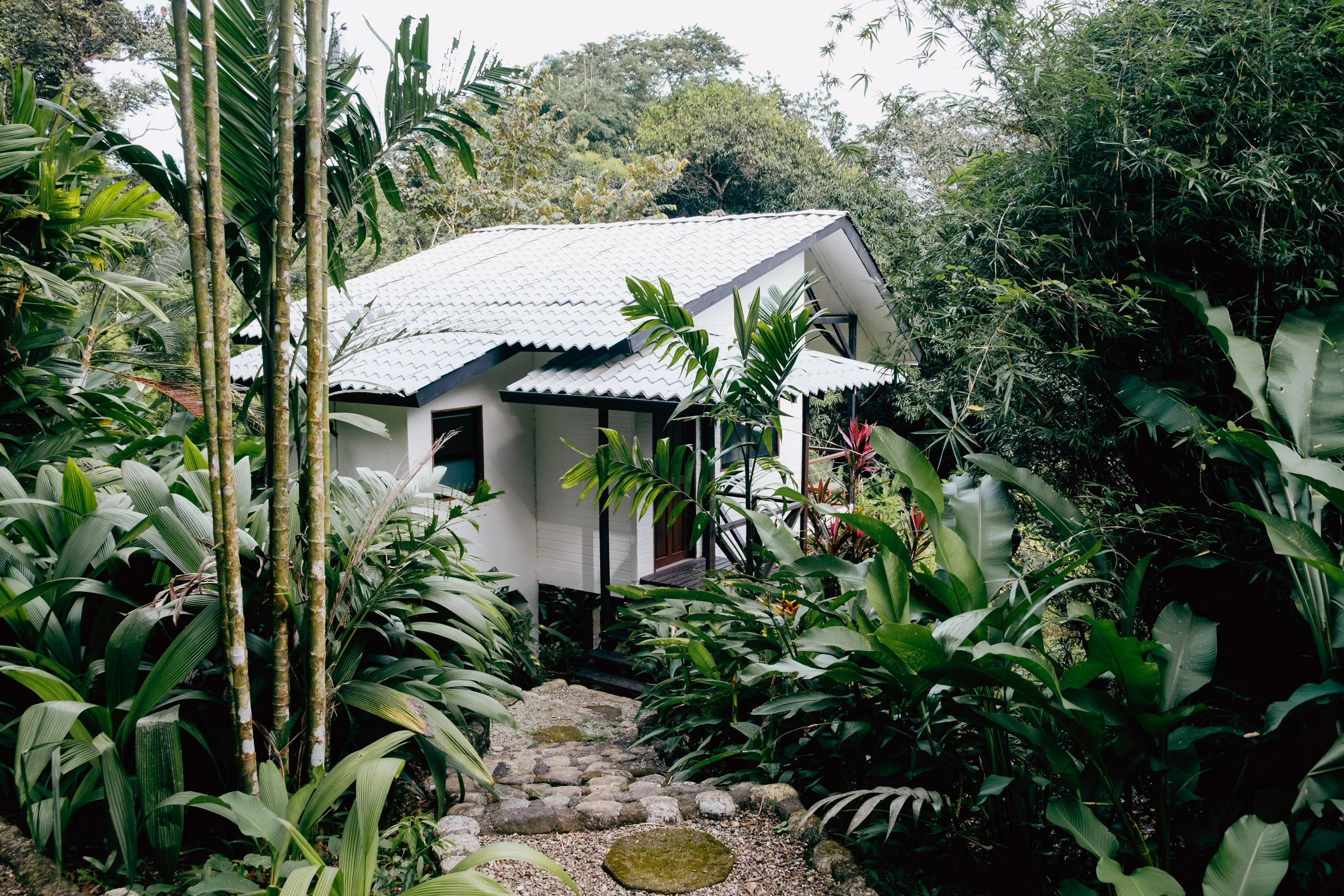 “Jungle cabin with a metal roof nestled among lush vegetation and tall trees.”