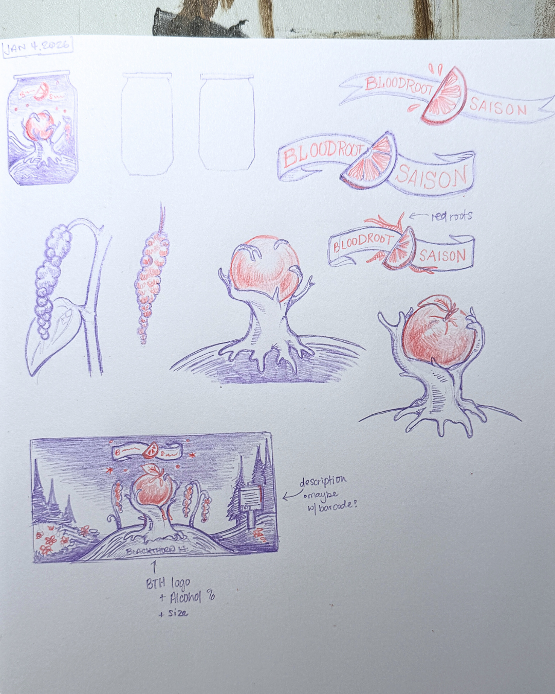 New sketches the second time around.