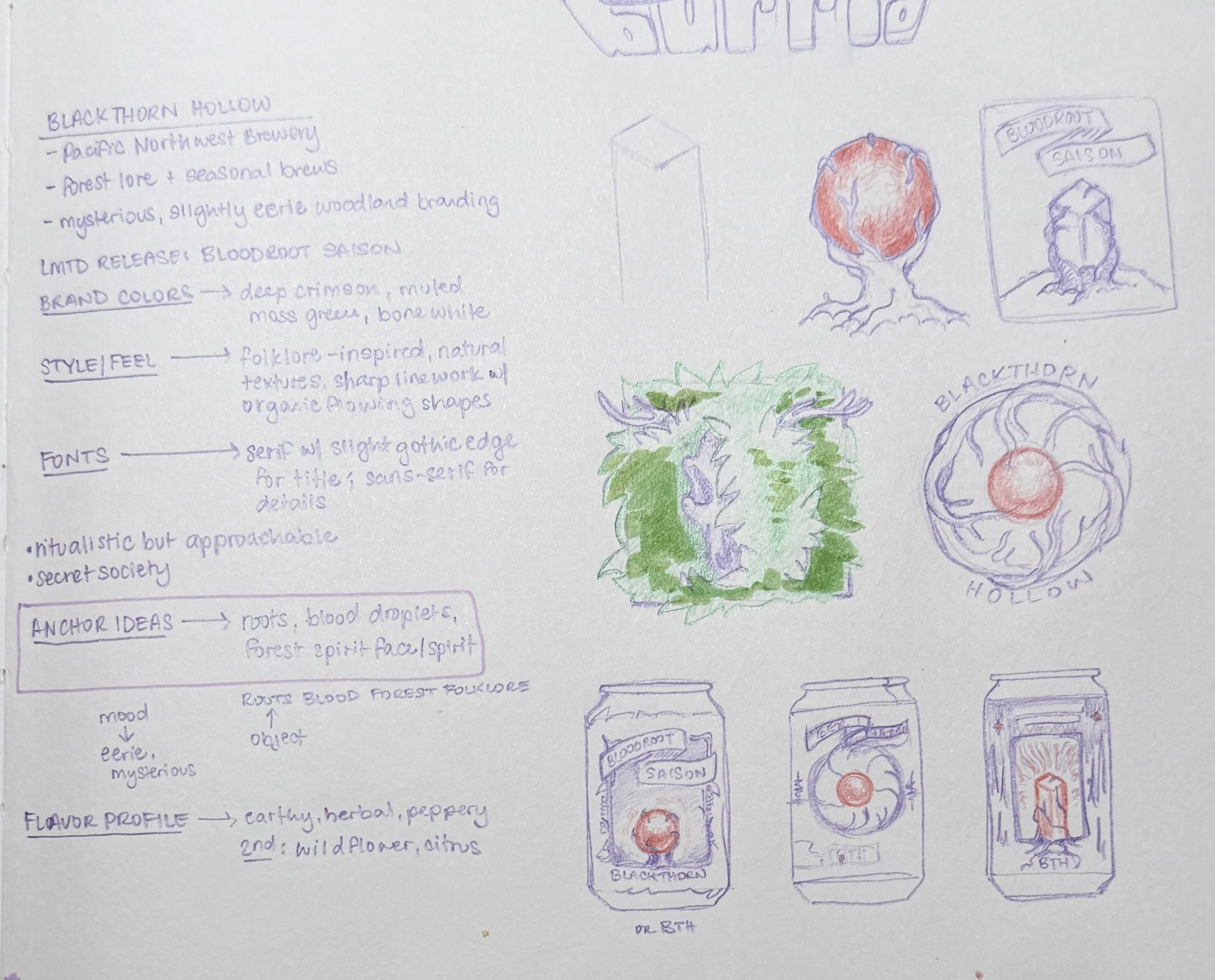 Design criteria and initial sketches the second time.