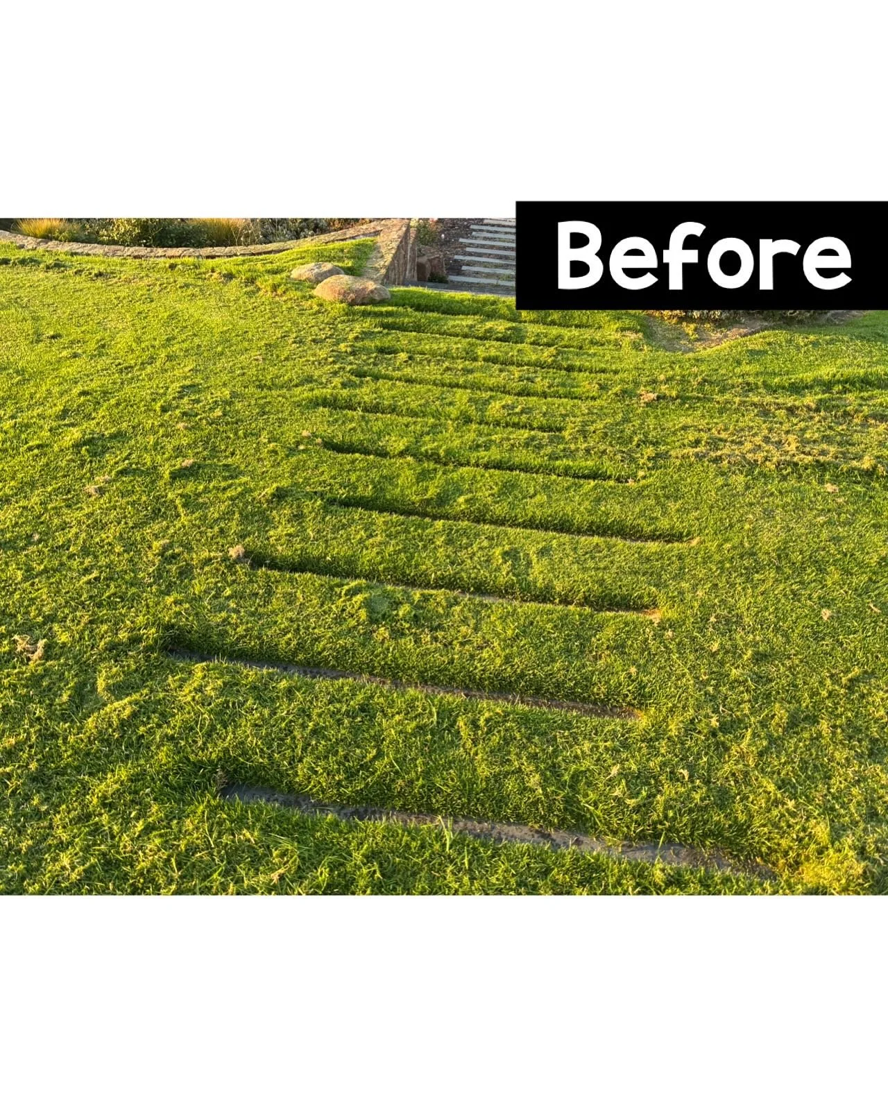 🚨🚨Overgrown edges and unrecognisable steps brought back to life! This lawn was in need of some serious TLC&mdash;now it&rsquo;s clean, crisp, and looking sharp. JV Property Maintenance gets it done! ✅

Send a message to Jack on 0490957900 for all y