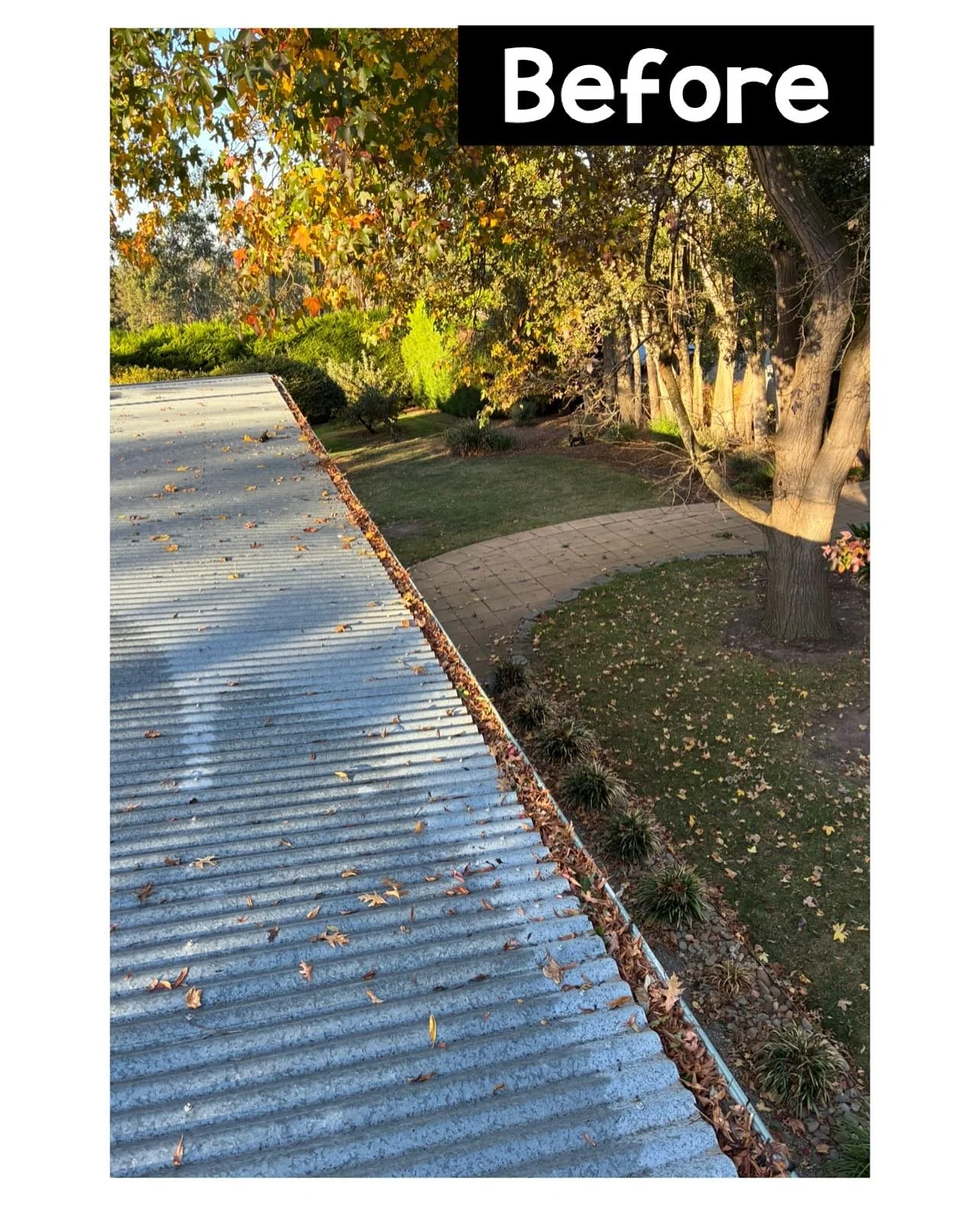 Gutters cleaned and ready for winter in Balnarring! Blocked gutters can cause serious damage&mdash;don&rsquo;t wait until it&rsquo;s too late. Message JV Property Maintenance to get yours sorted!

Send a message to Jack on 0490957900 for all your pro